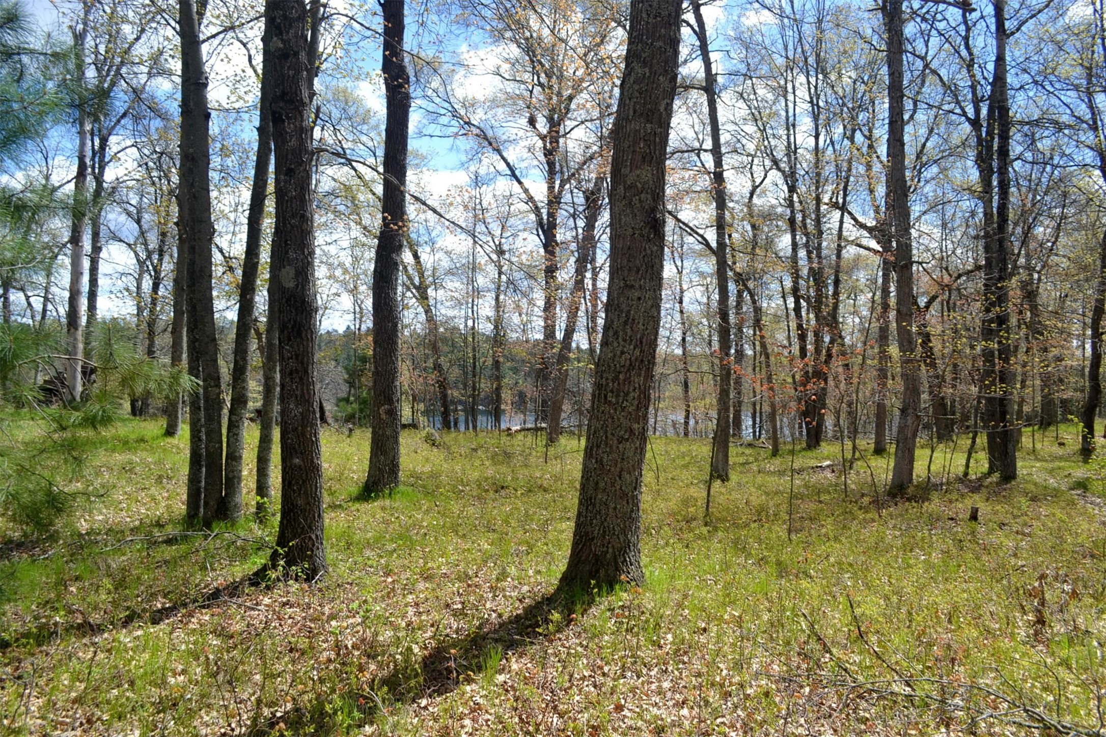 1391 Dock Lake Road Property Photo 3