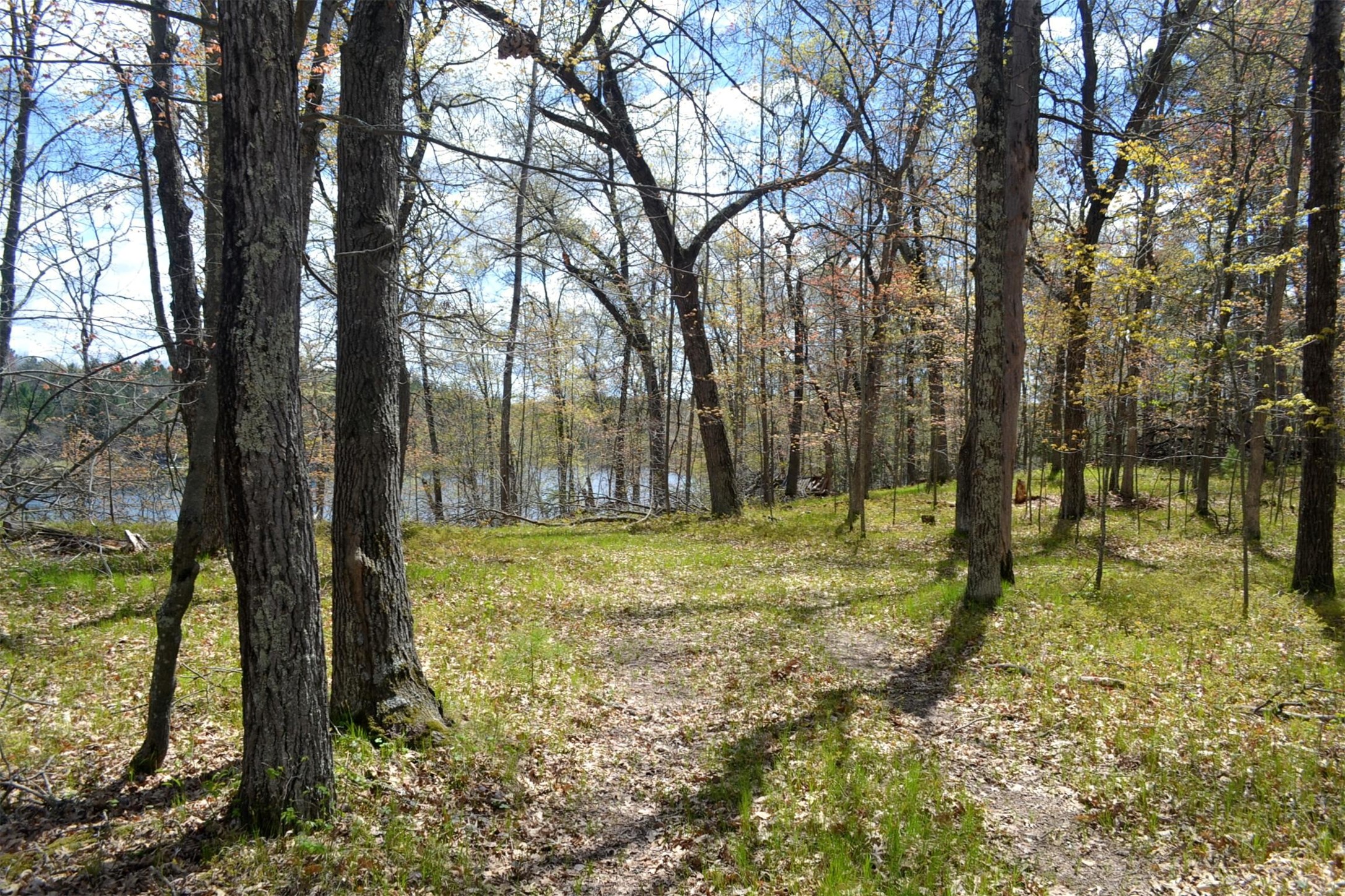 1391 Dock Lake Road Property Photo 4