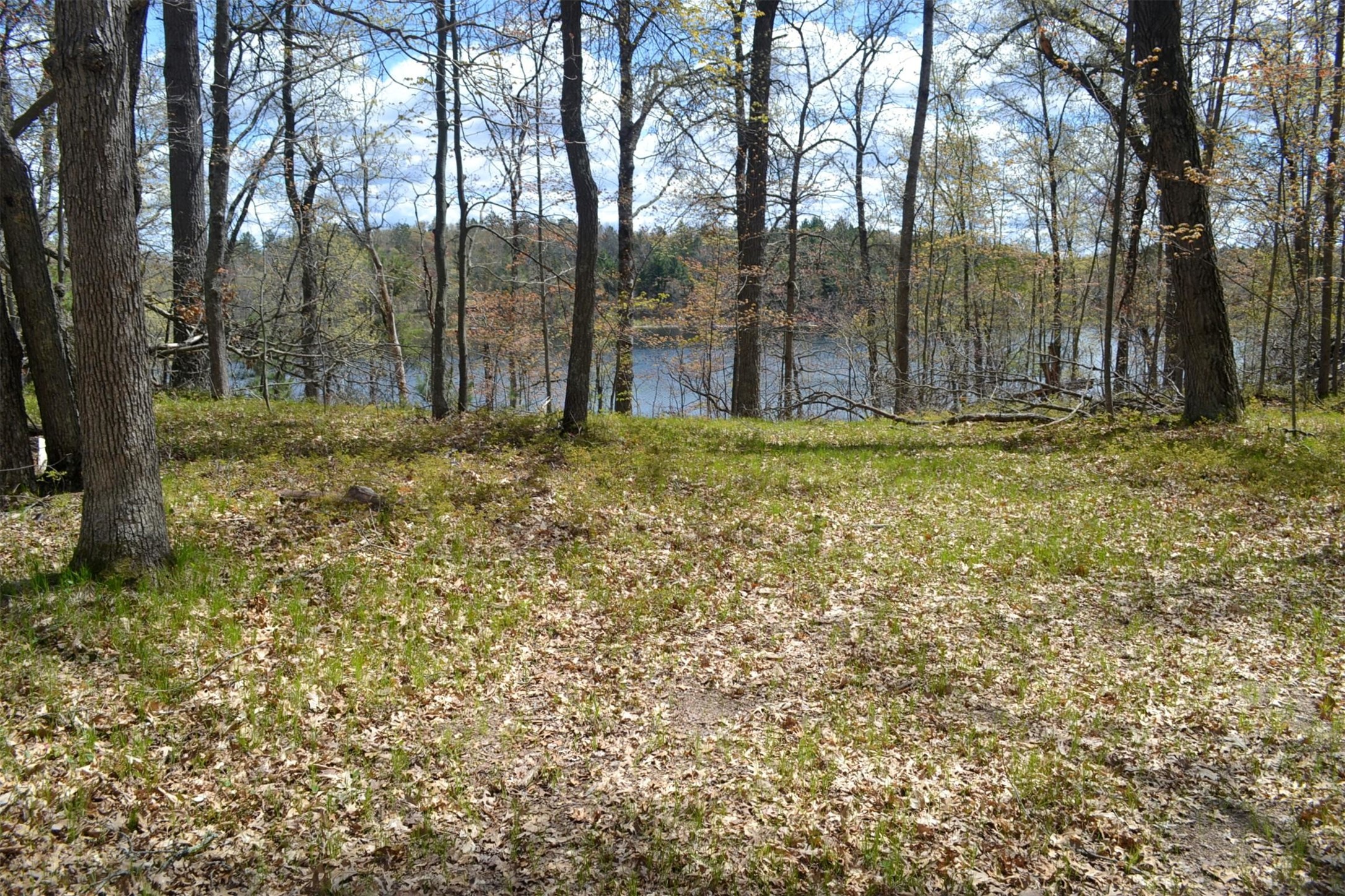 1391 Dock Lake Road Property Photo 5