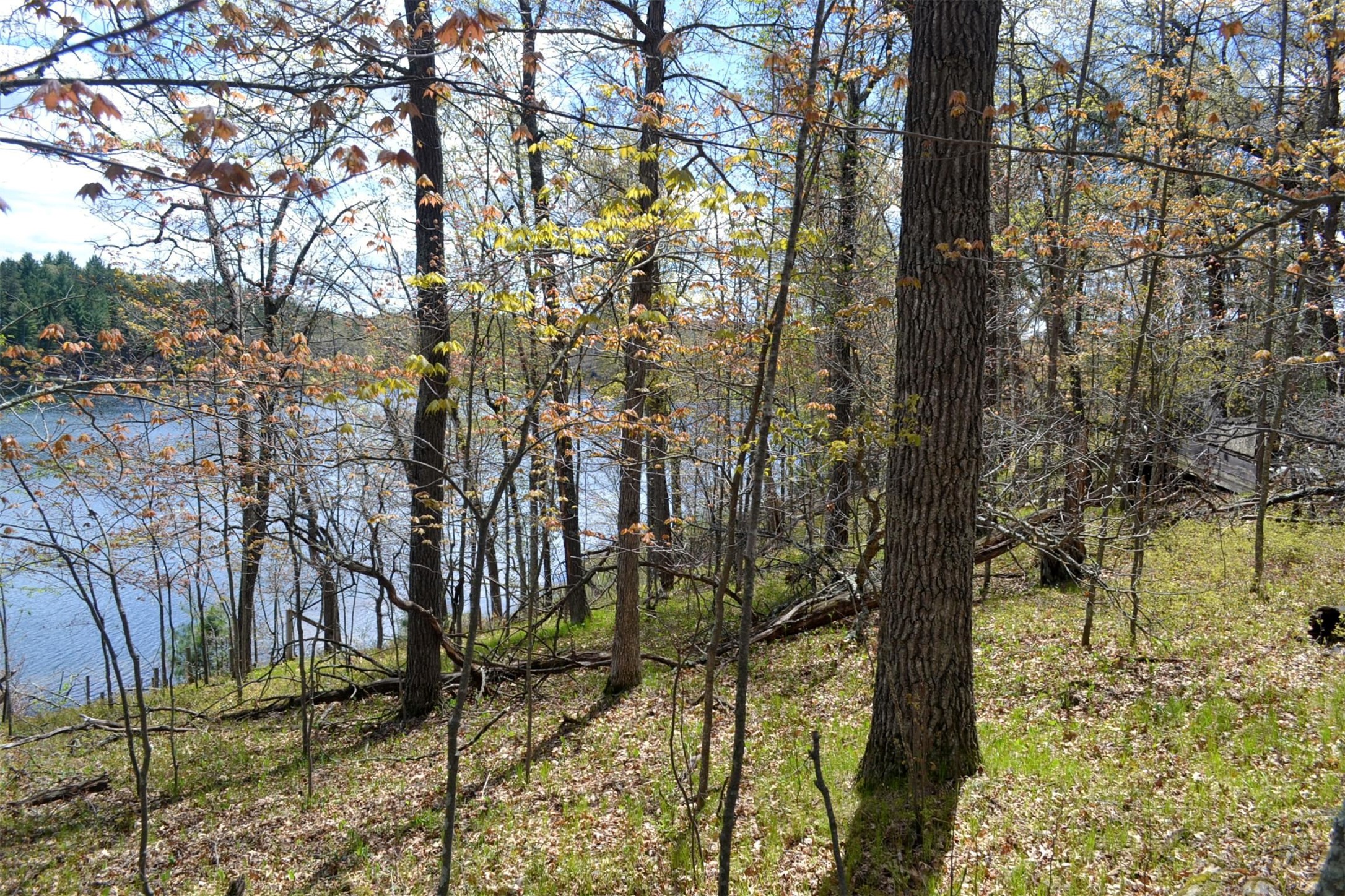 1391 Dock Lake Road Property Photo 6