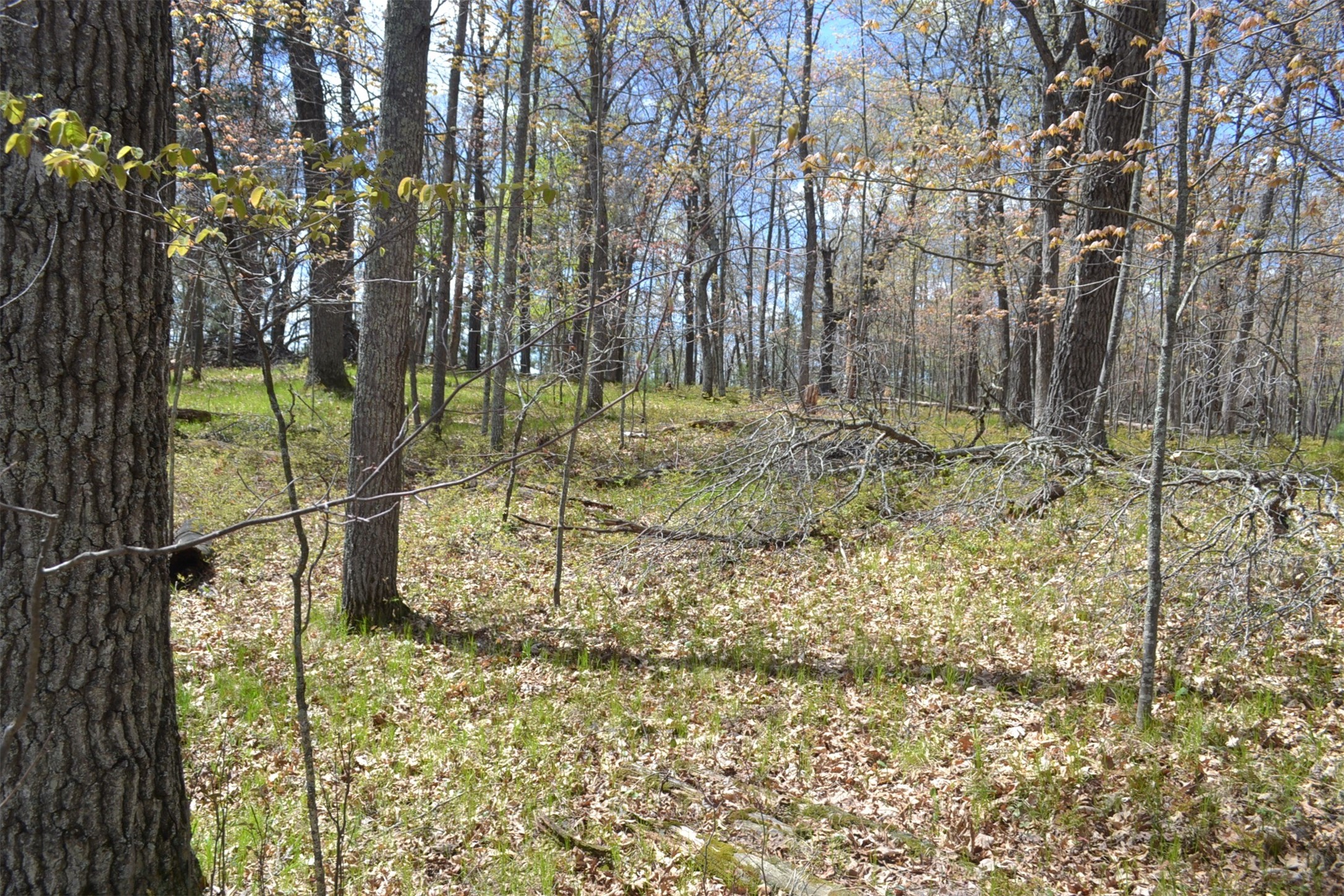 1391 Dock Lake Road Property Photo 7