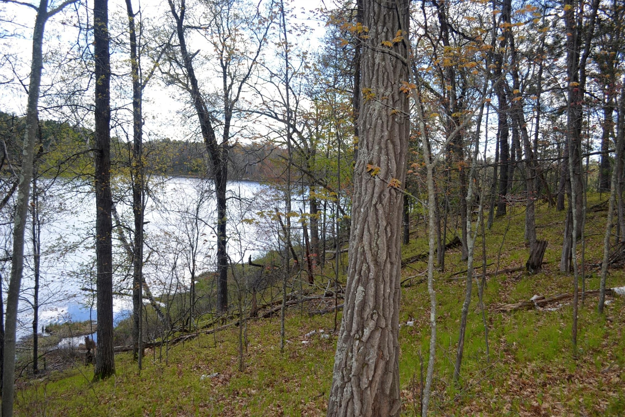 1391 Dock Lake Road Property Photo 9