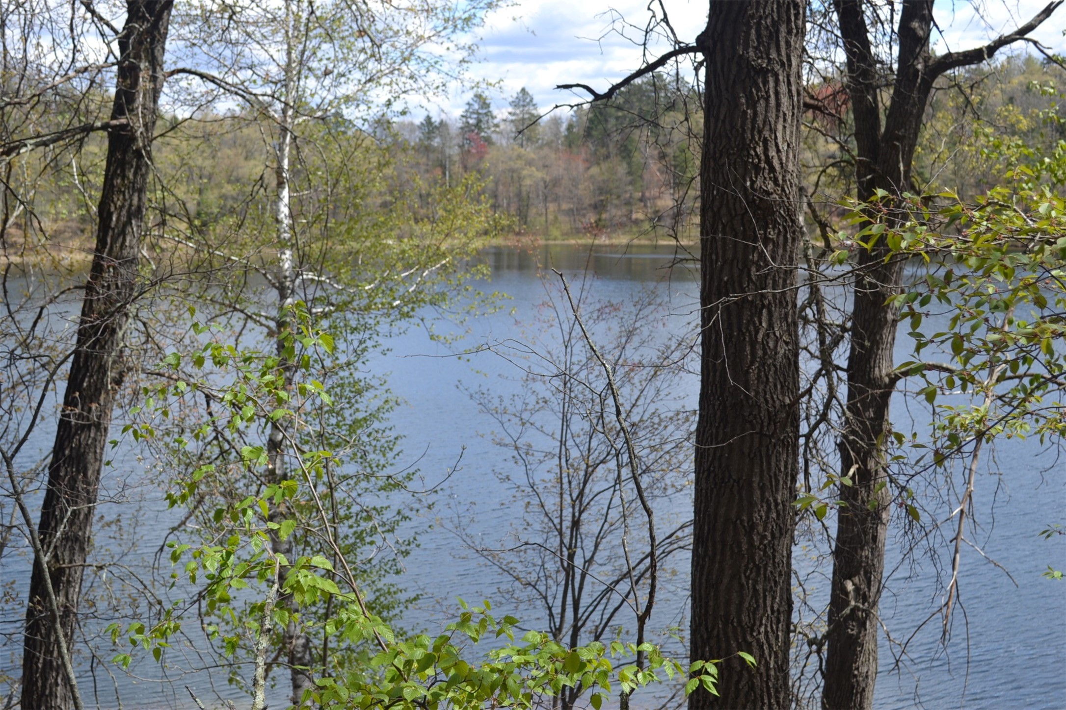 1391 Dock Lake Road Property Photo 12