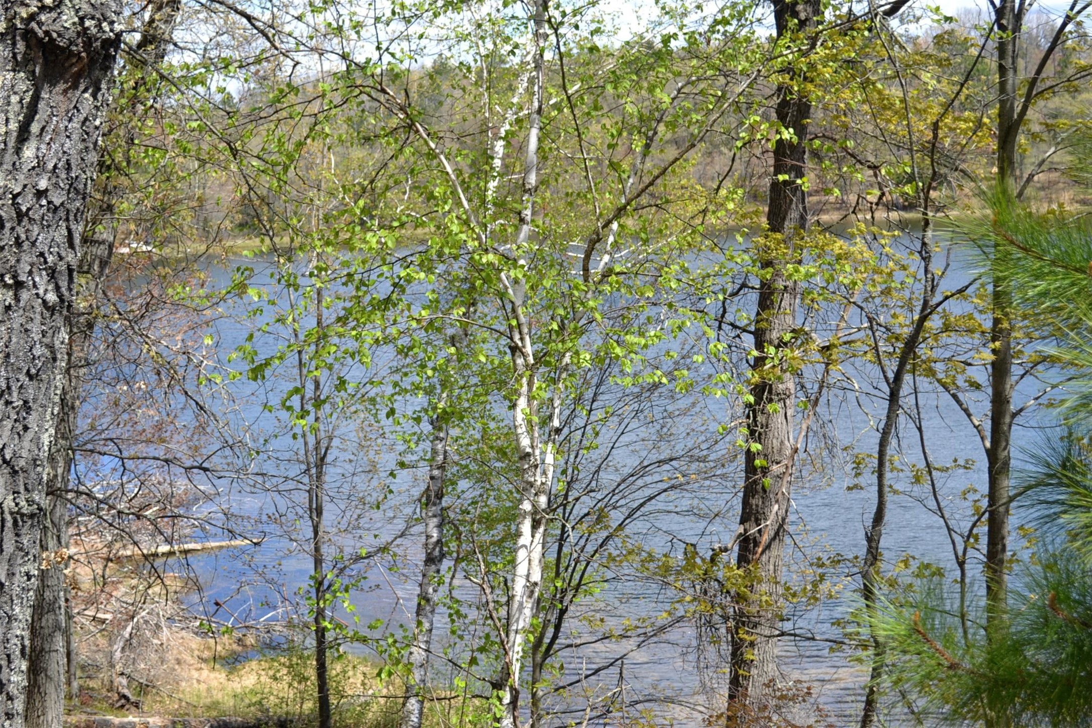 1391 Dock Lake Road Property Photo 15