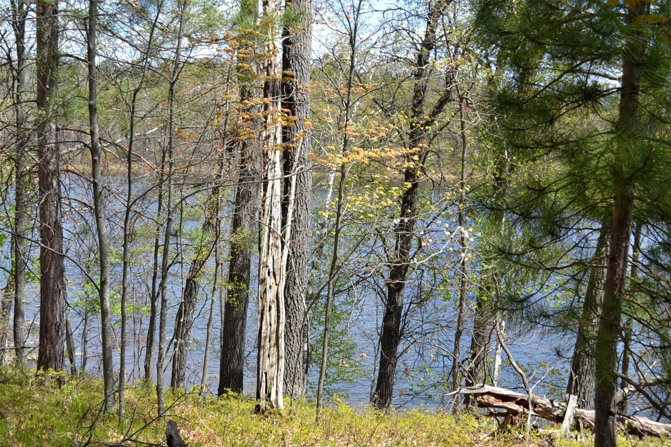 1391 Dock Lake Road Property Photo 16