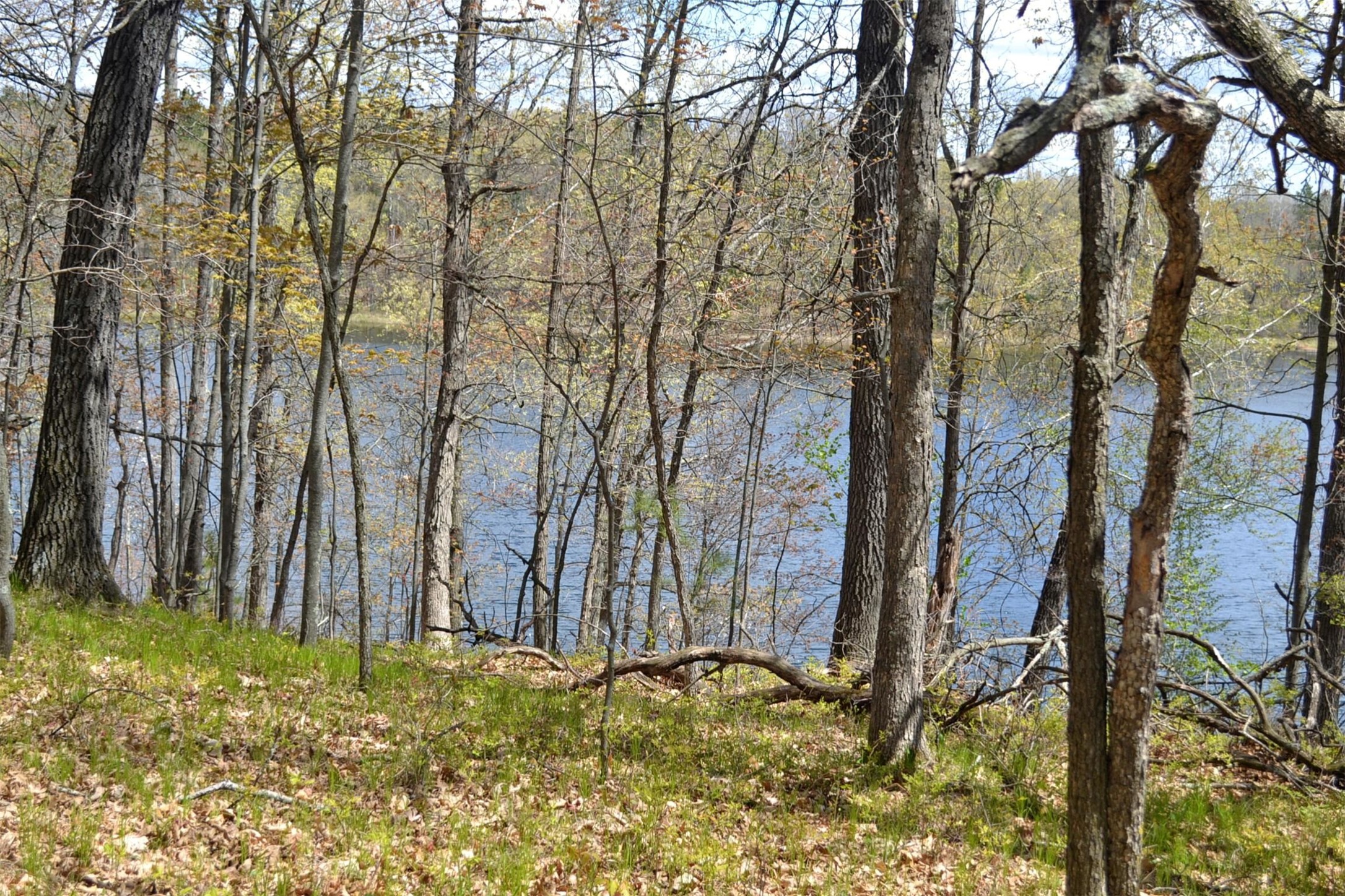 1391 Dock Lake Road Property Photo 17
