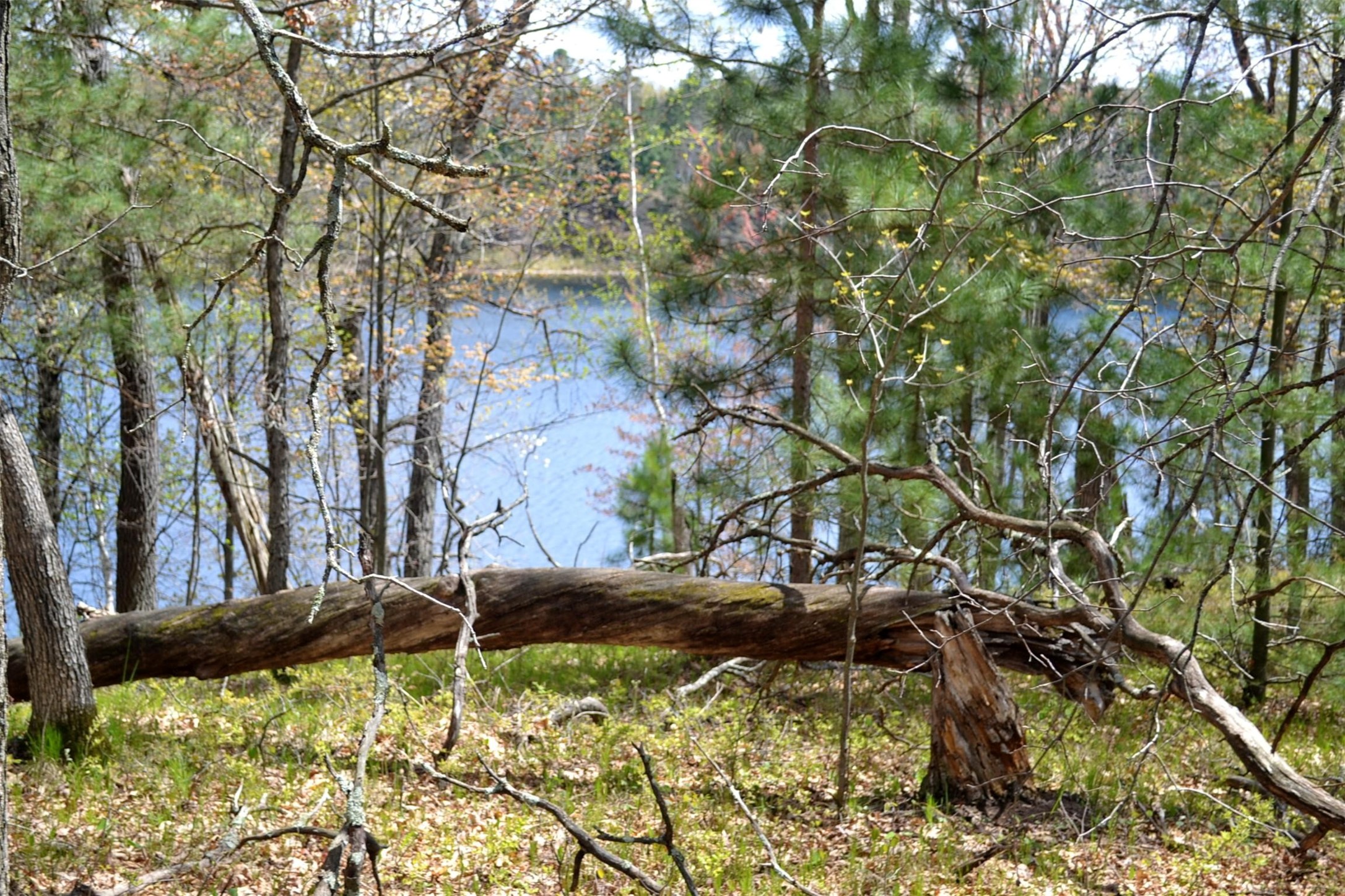 1391 Dock Lake Road Property Photo 18