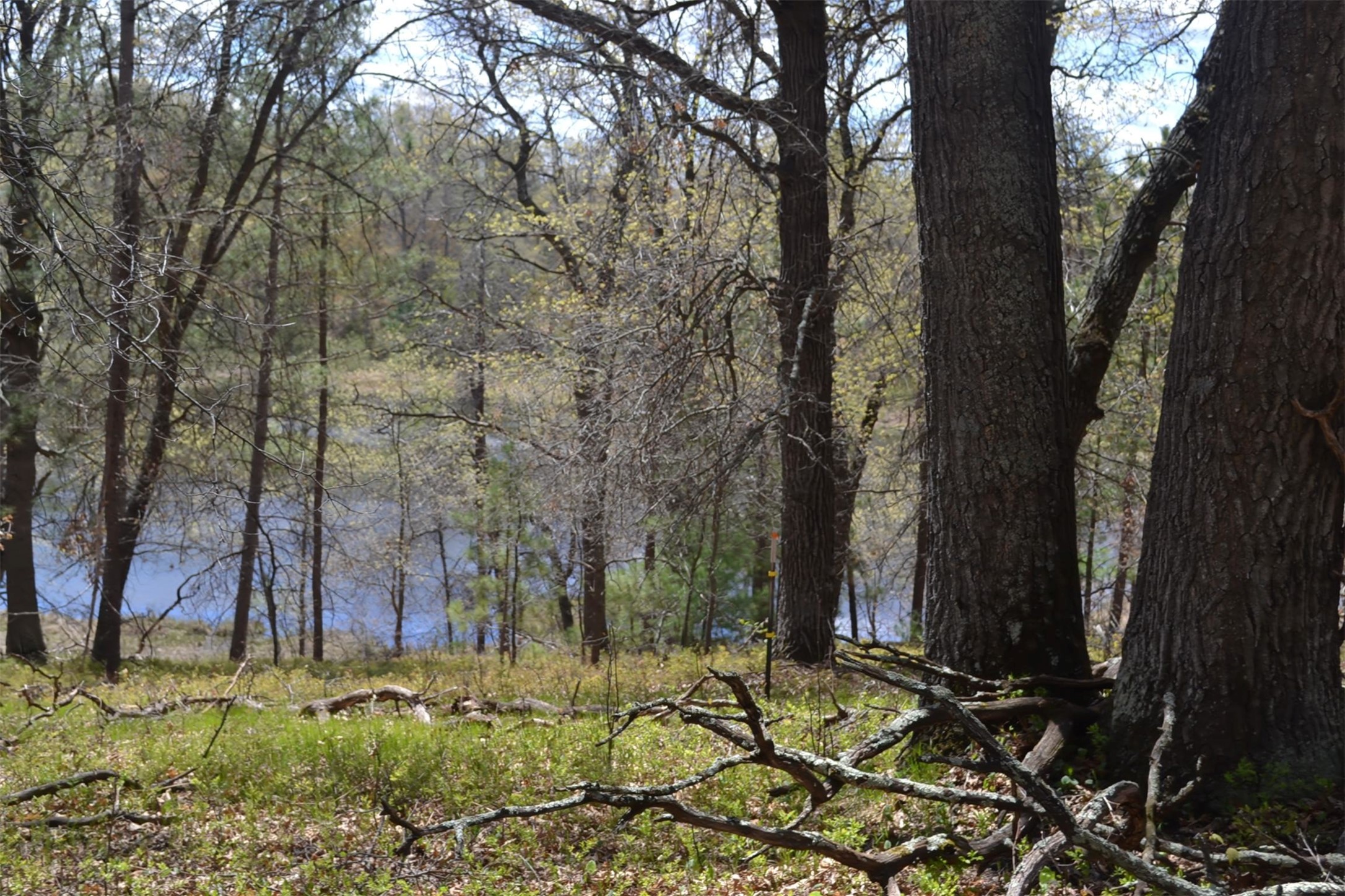1391 Dock Lake Road Property Photo 19