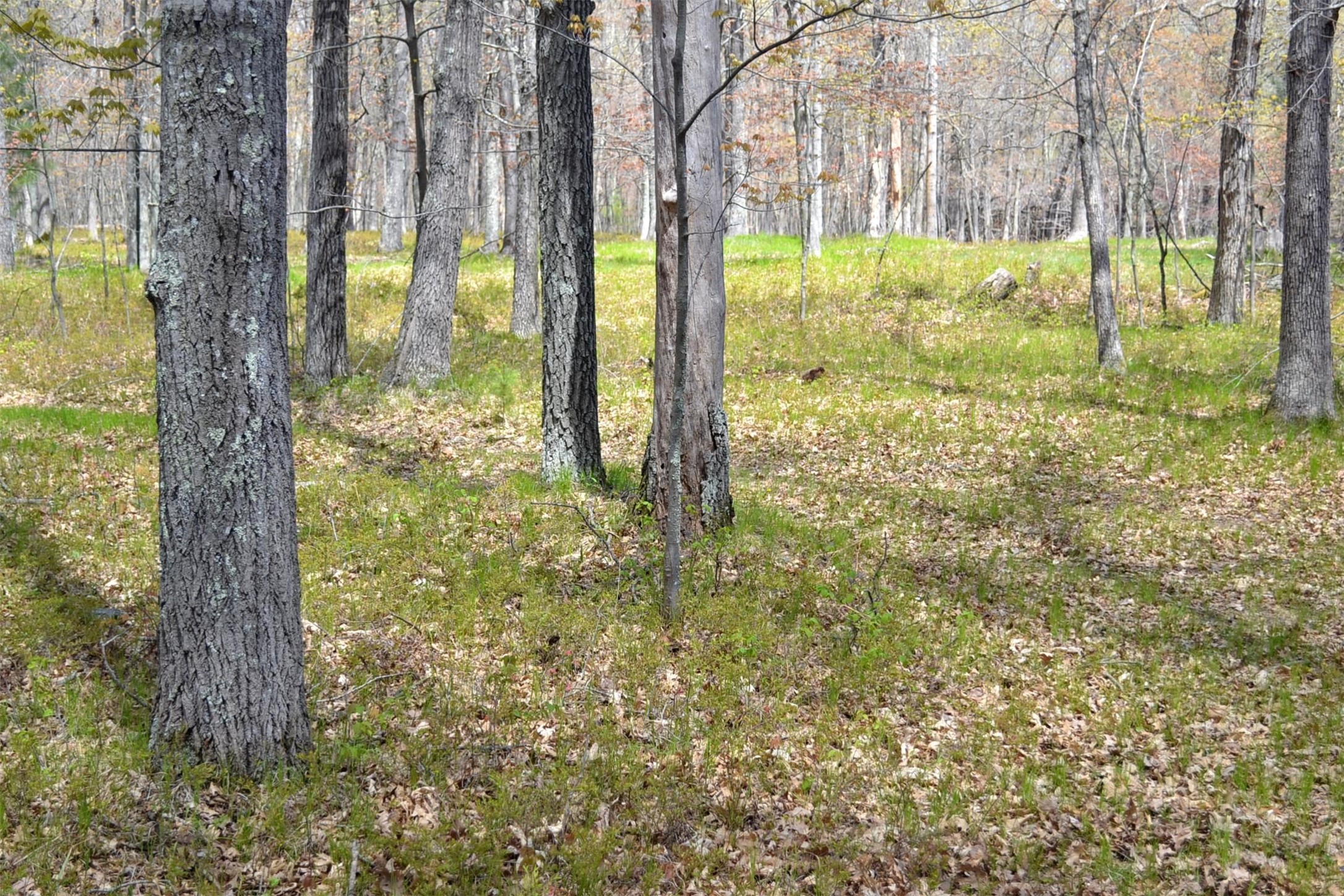 1391 Dock Lake Road Property Photo 20