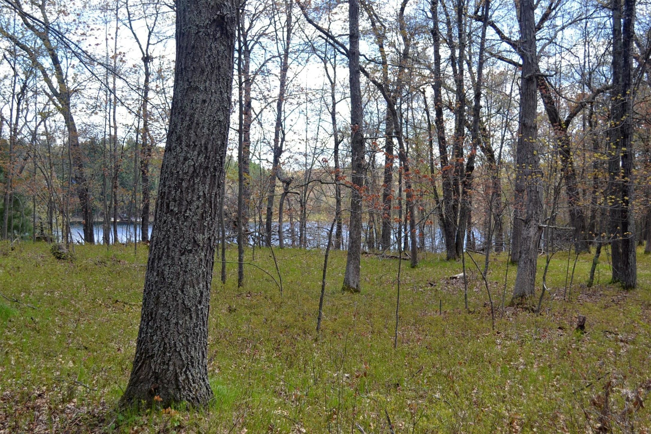 1391 Dock Lake Road Property Photo 21