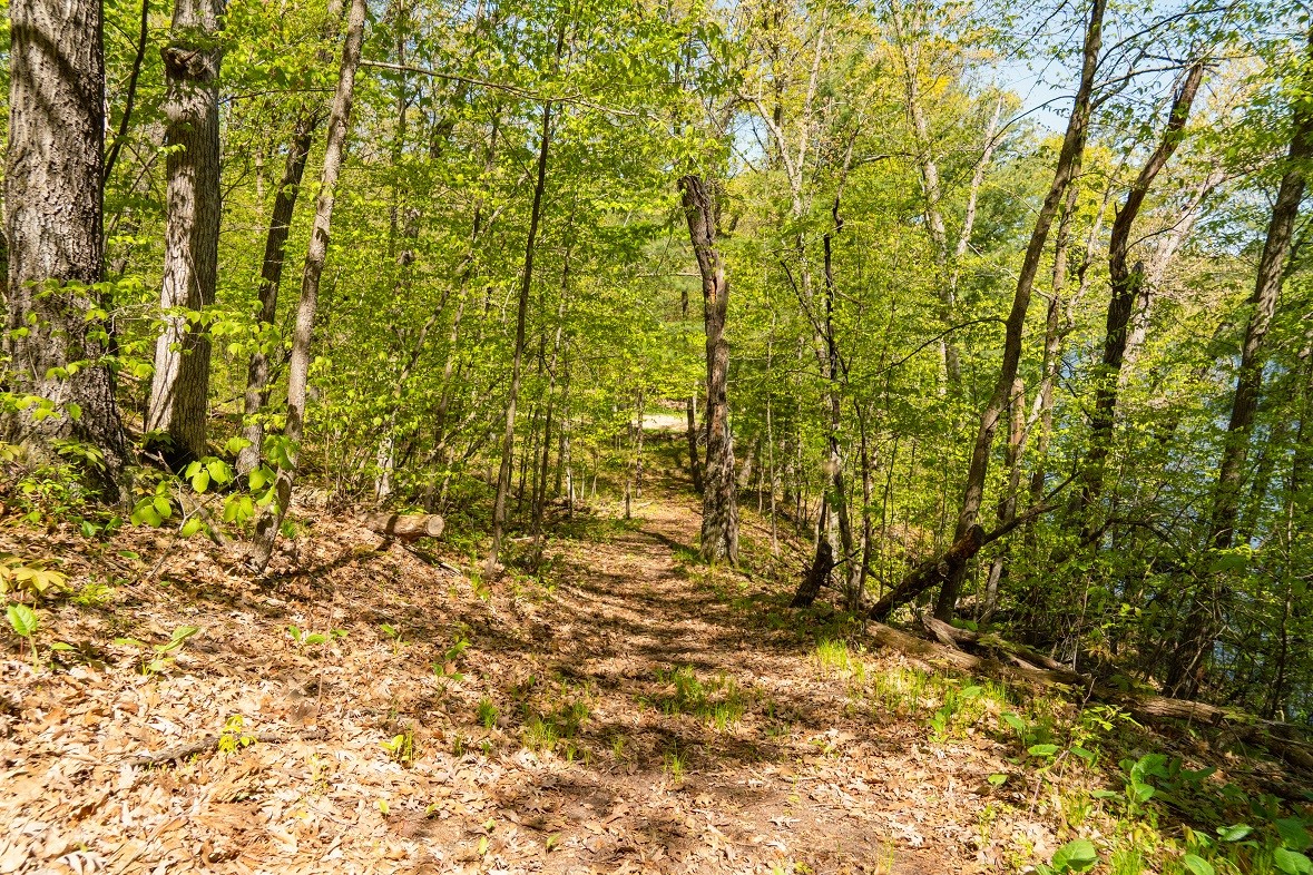 N4568 County Road N Property Photo 19