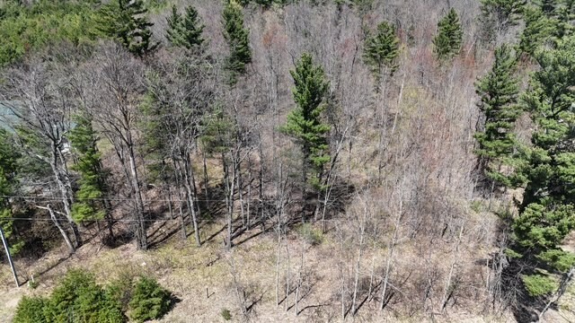 0 County Road B Property Photo 4