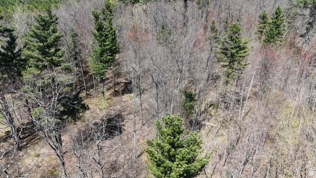 0 County Road B Property Photo 5