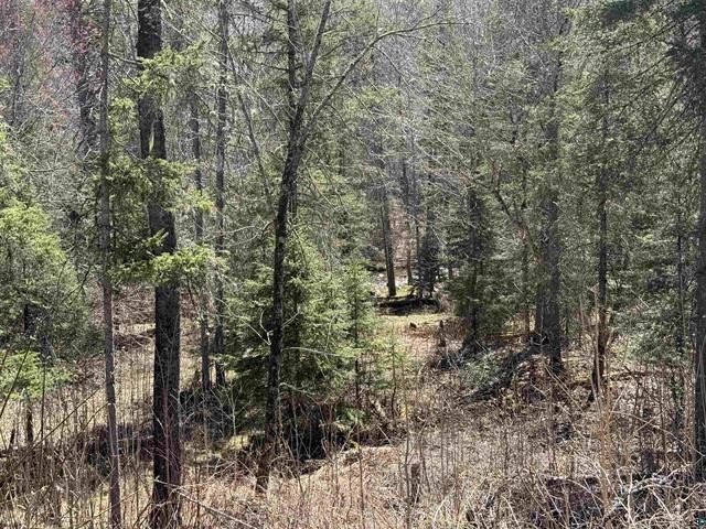 77410 Kaukamo Road Property Photo 19