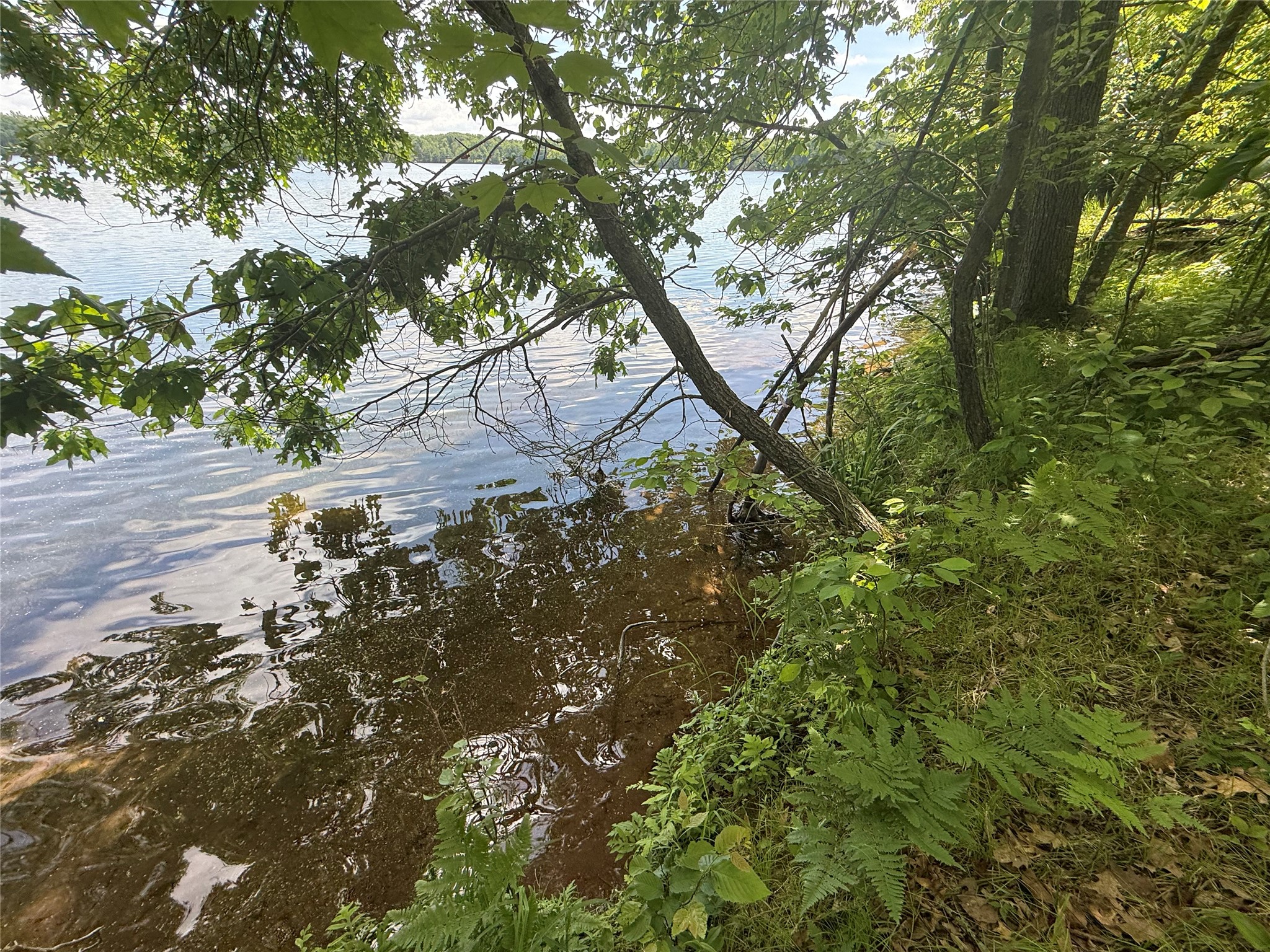 33 Acres Partridge Lane Property Photo 2