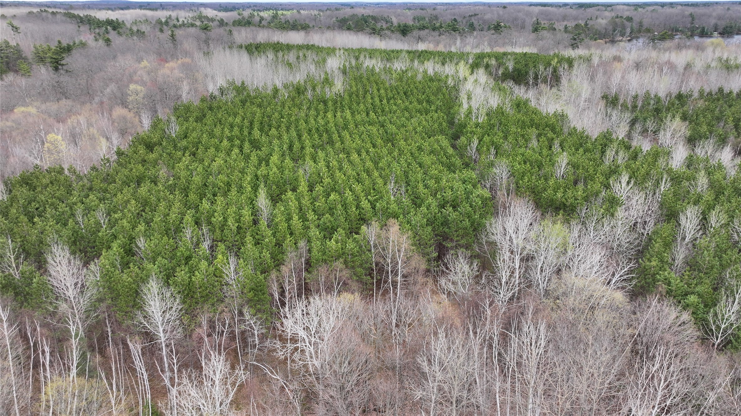 33 Acres Partridge Lane Property Photo 8