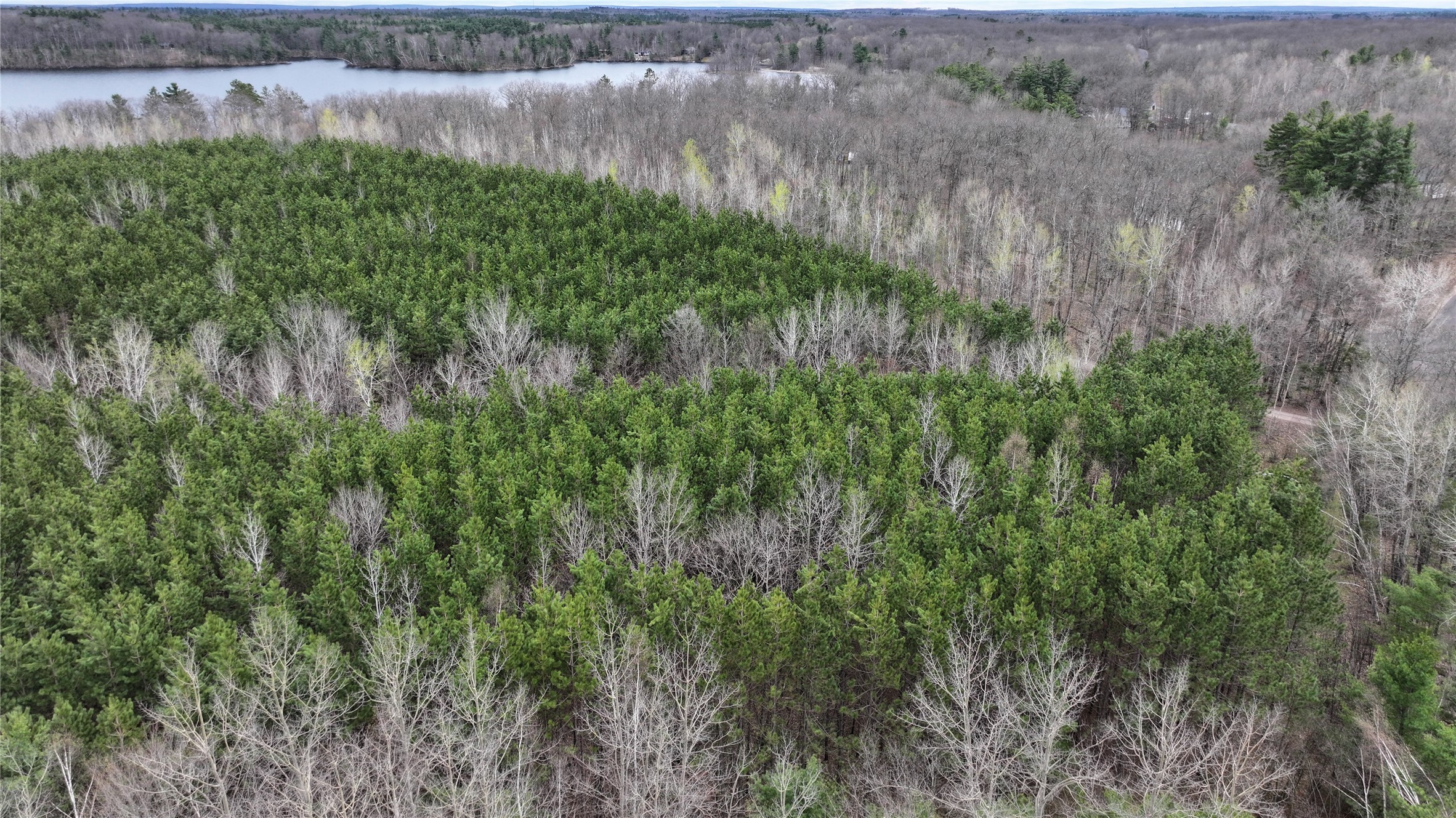 33 Acres Partridge Lane Property Photo 9