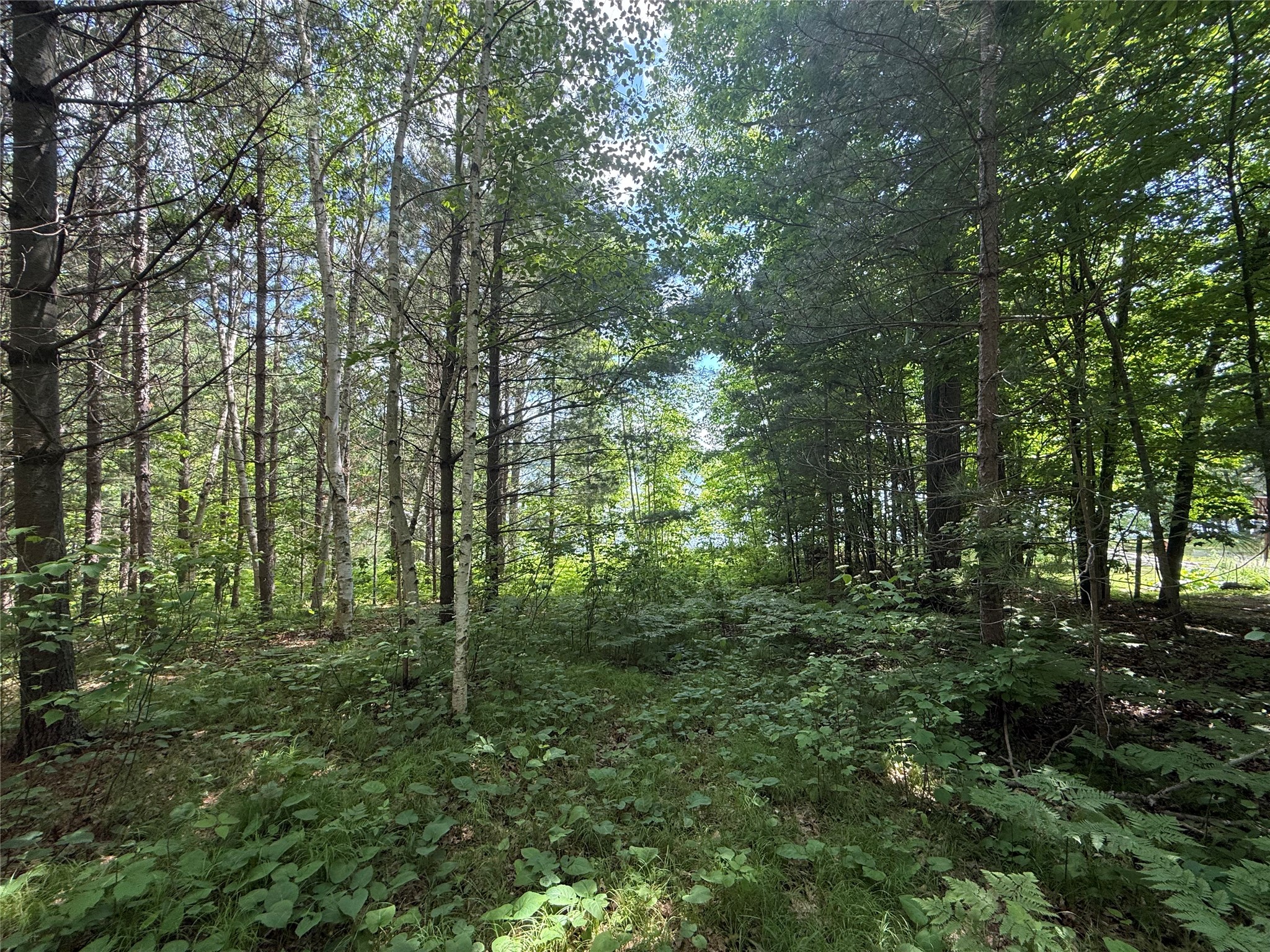33 Acres Partridge Lane Property Photo 11