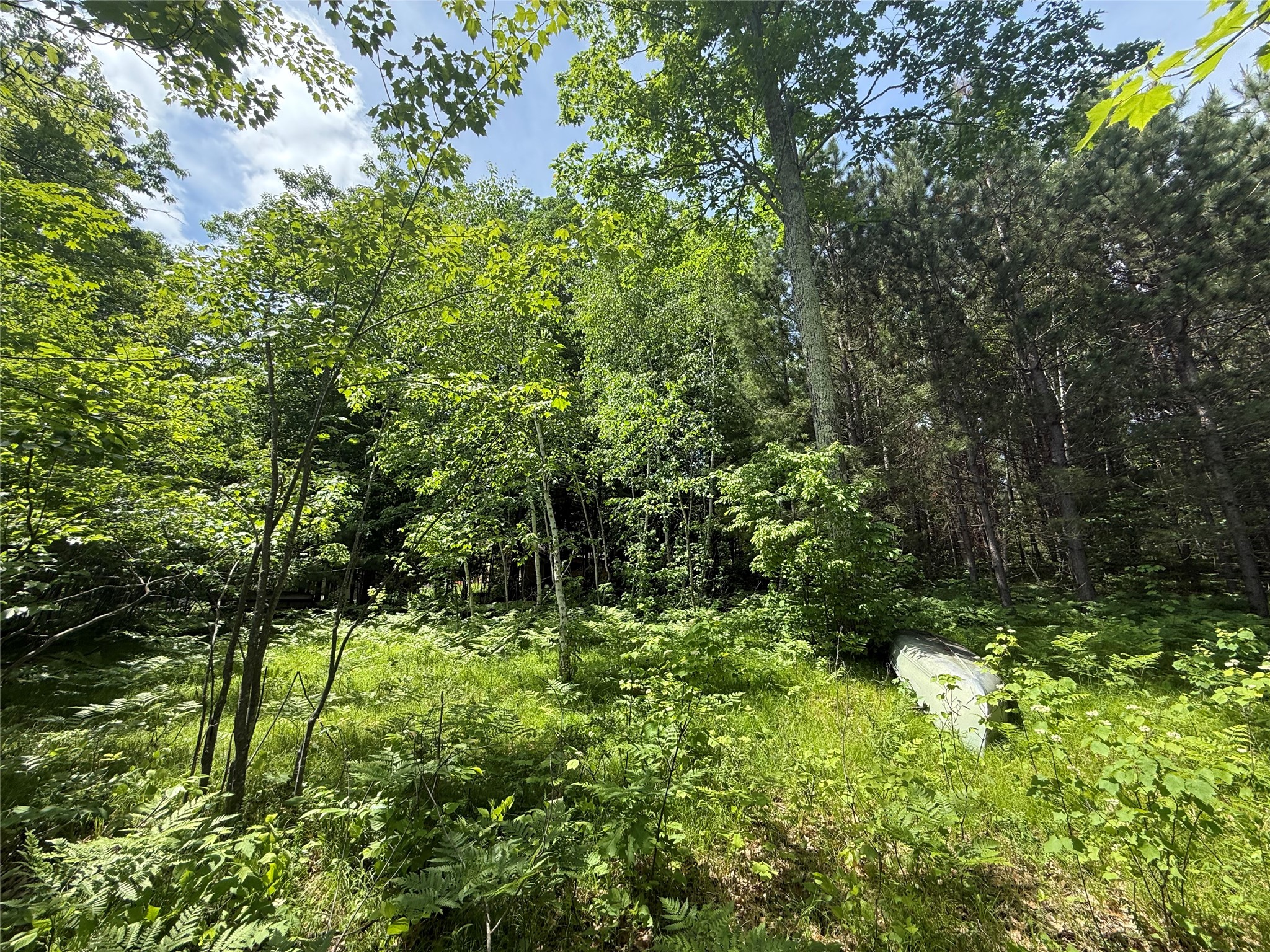 33 Acres Partridge Lane Property Photo 13