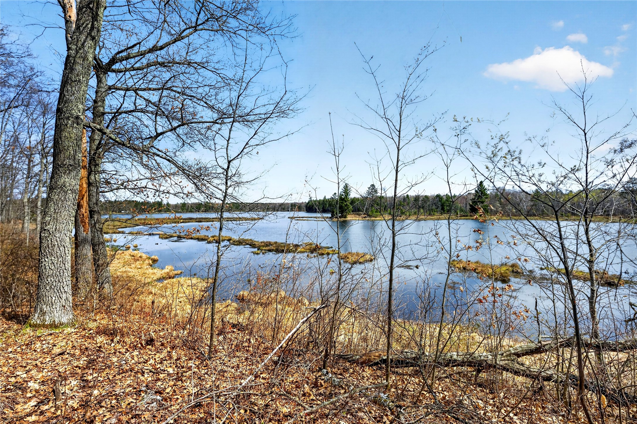 Lot 5 & 6 Peterson Road Property Photo 1