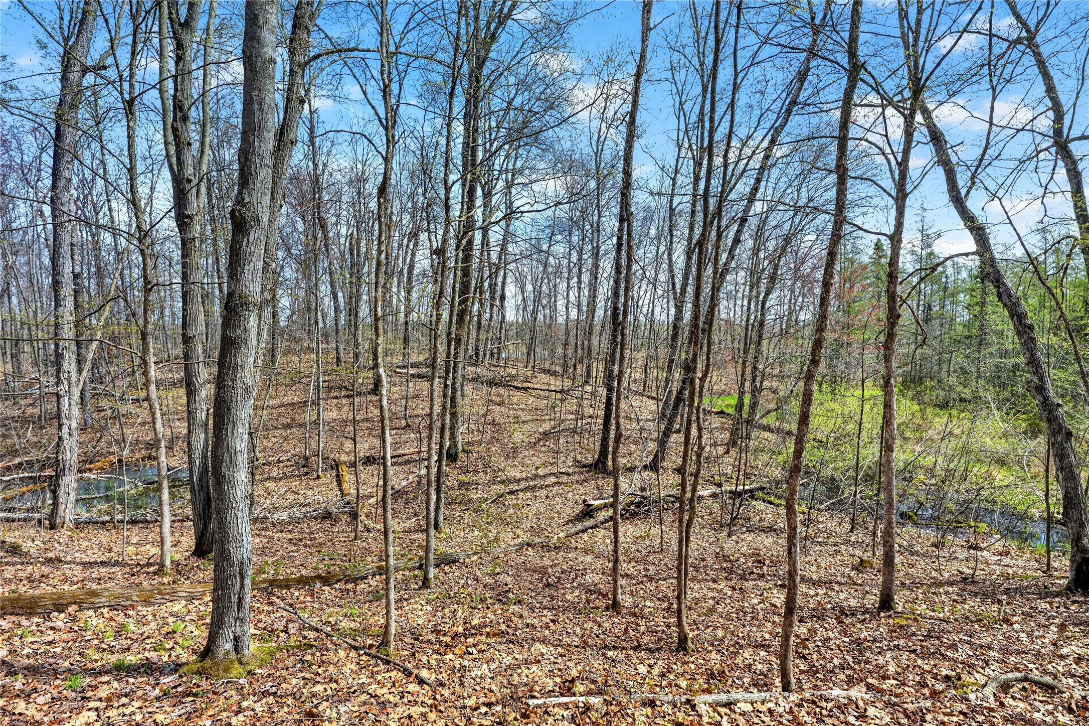 Lot 5 & 6 Peterson Road Property Photo 7