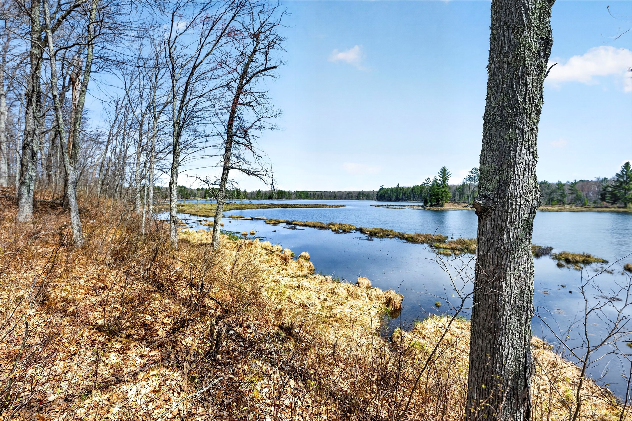 Lot 5 & 6 Peterson Road Property Photo 9