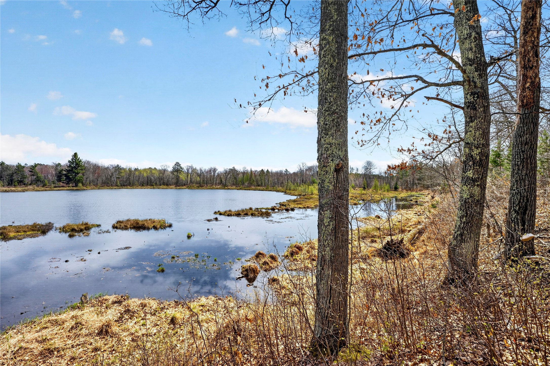 Lot 5 & 6 Peterson Road Property Photo 10