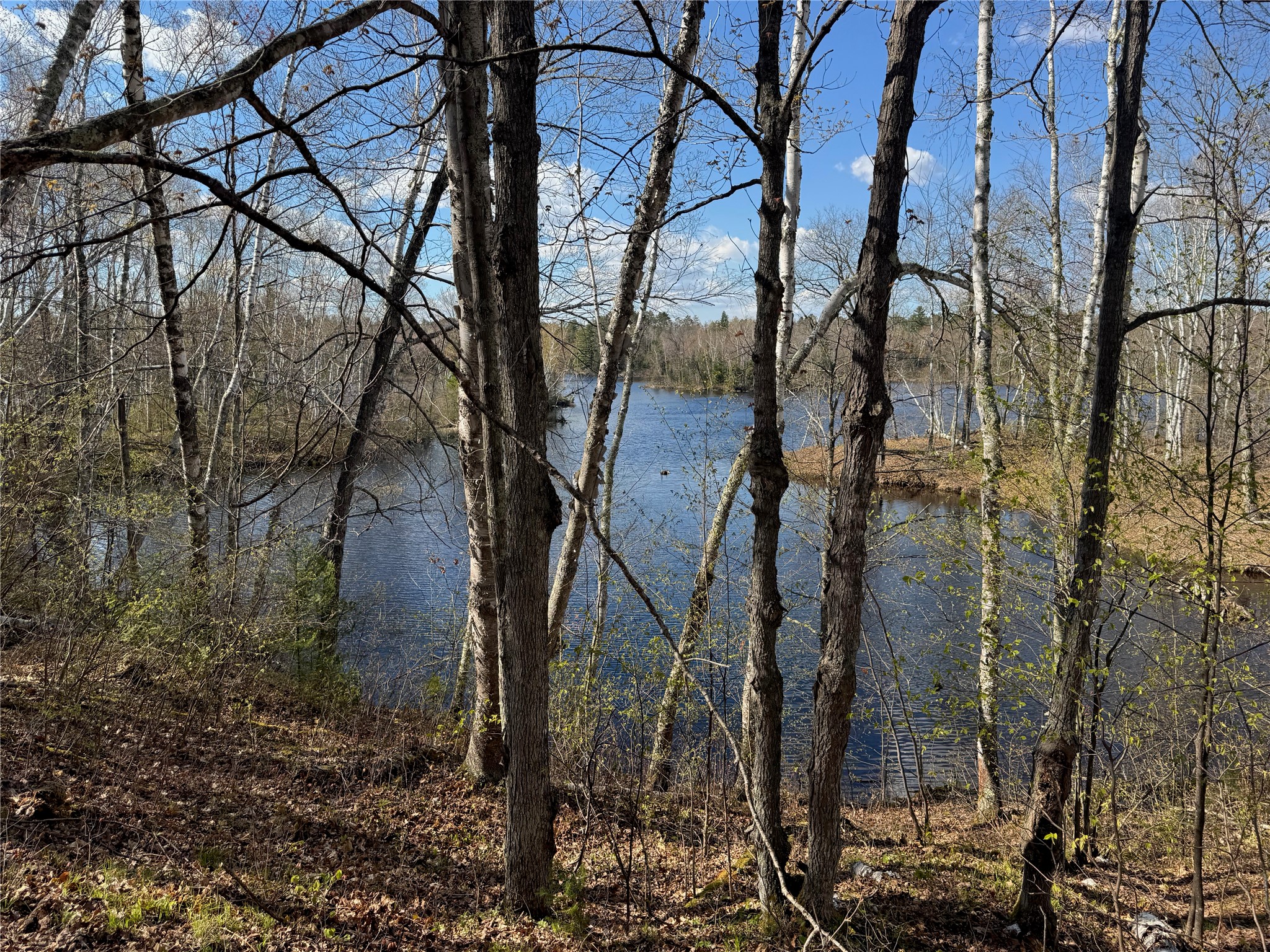 Lots 1-2 Trapper Trail Property Photo 15