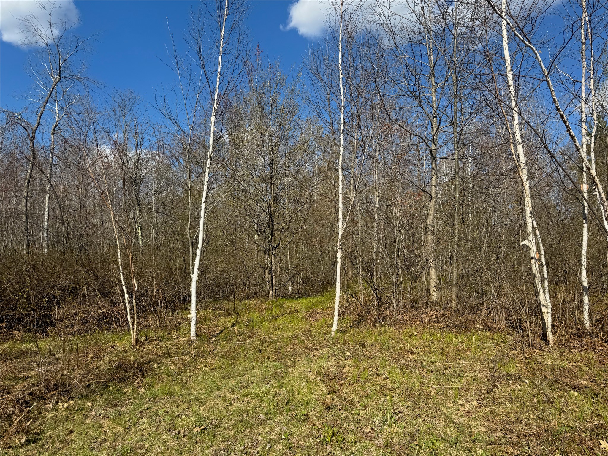 Lots 1-2 Trapper Trail Property Photo 19