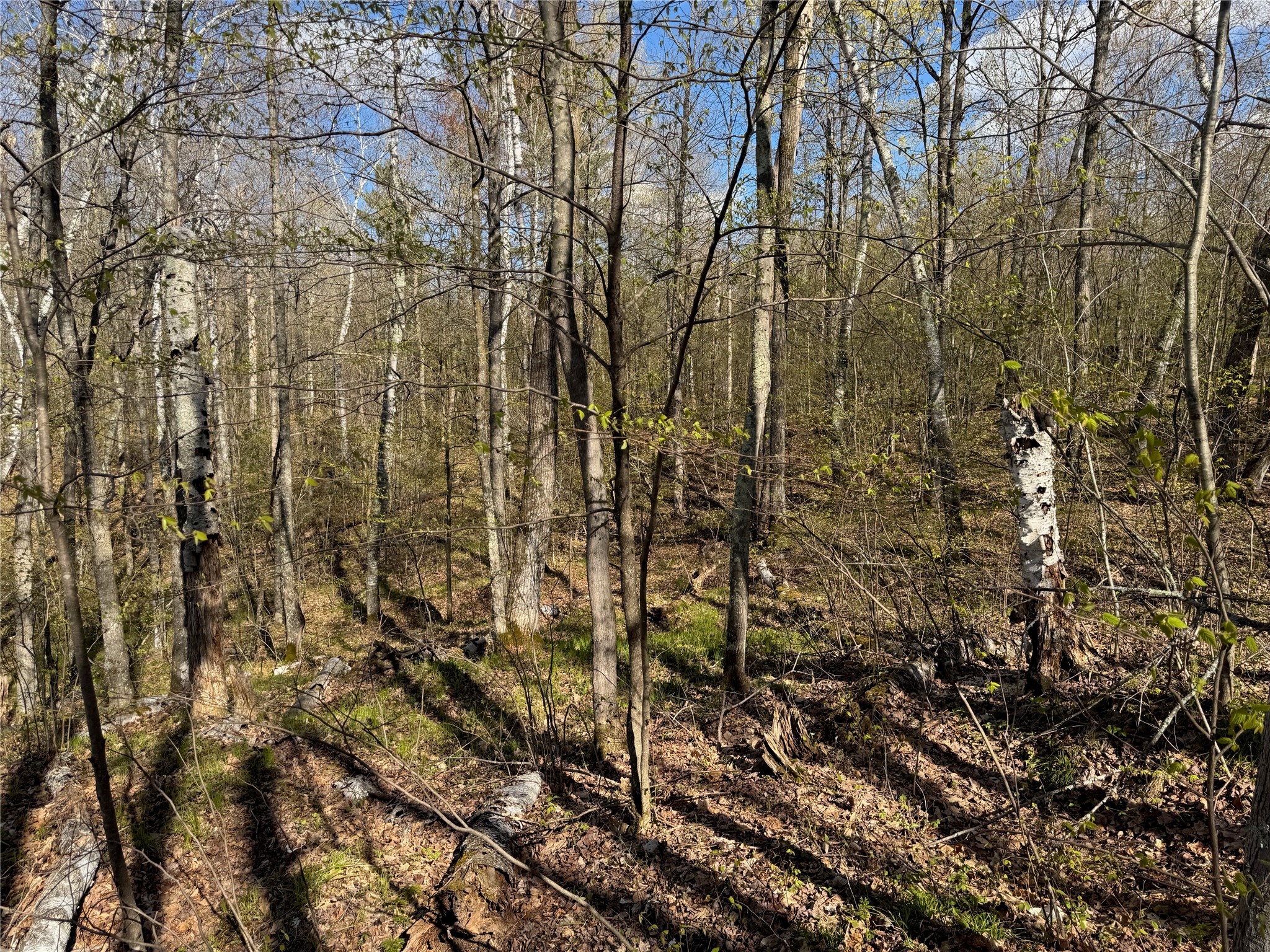 Lots 1-2 Trapper Trail Property Photo 21
