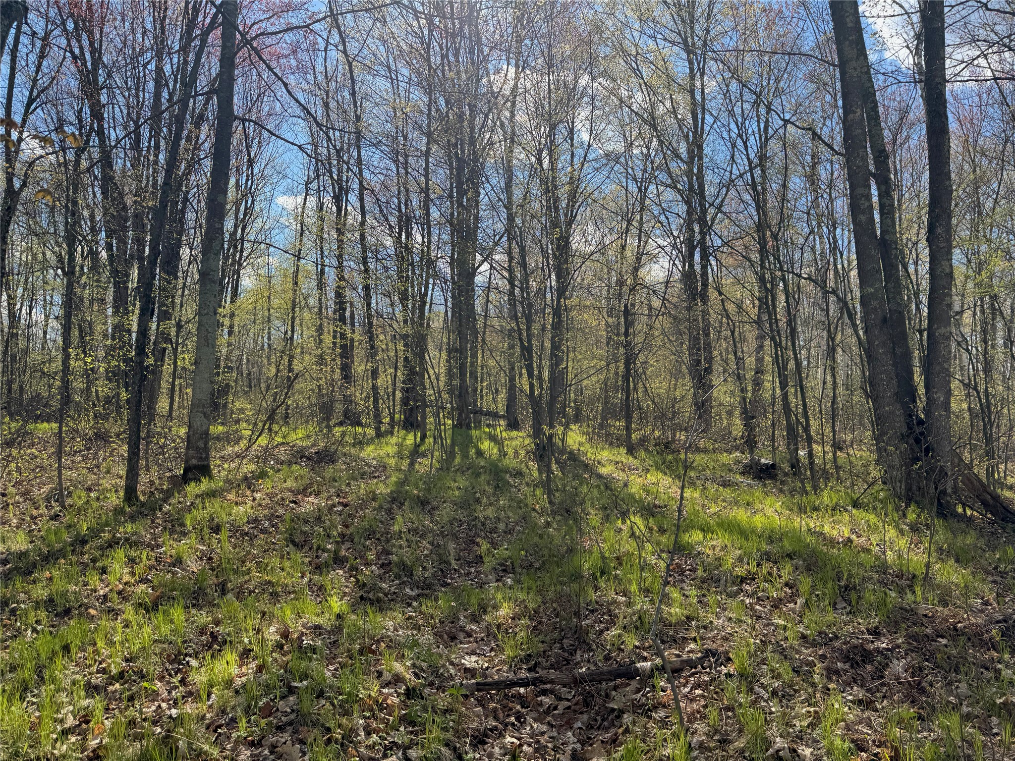 Lots 1-2 Trapper Trail Property Photo 22