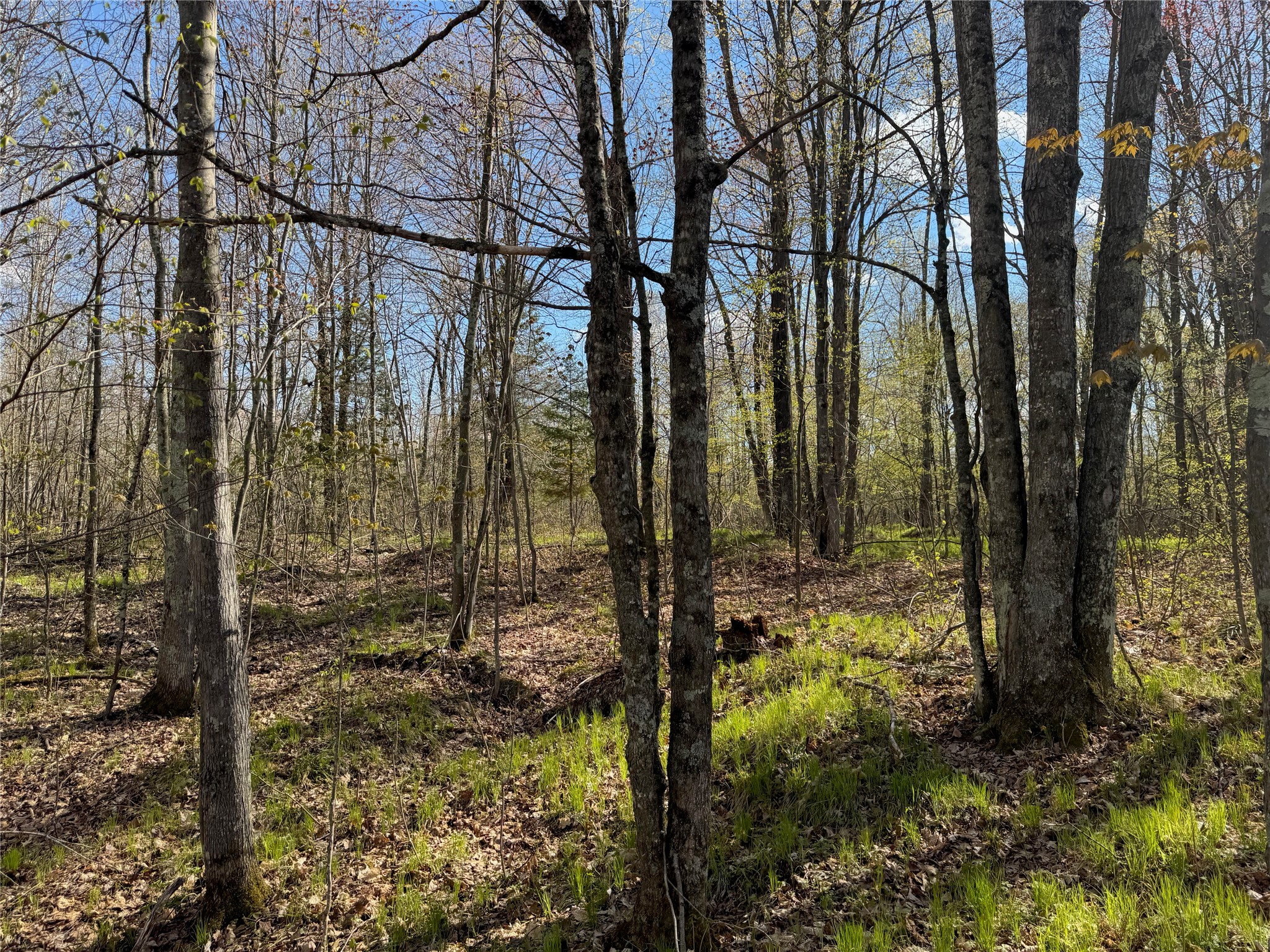 Lots 1-2 Trapper Trail Property Photo 23