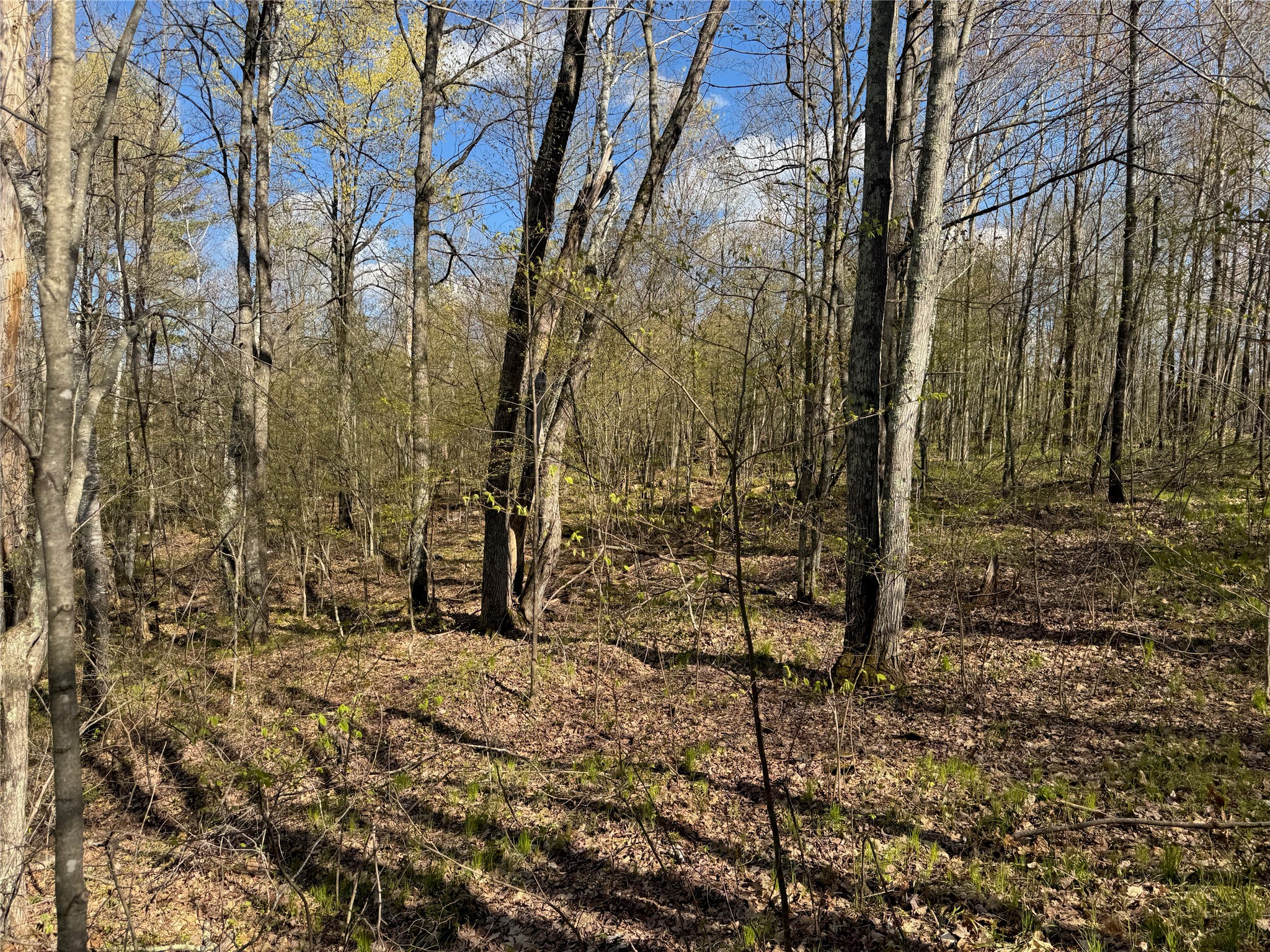 Lots 1-2 Trapper Trail Property Photo 24