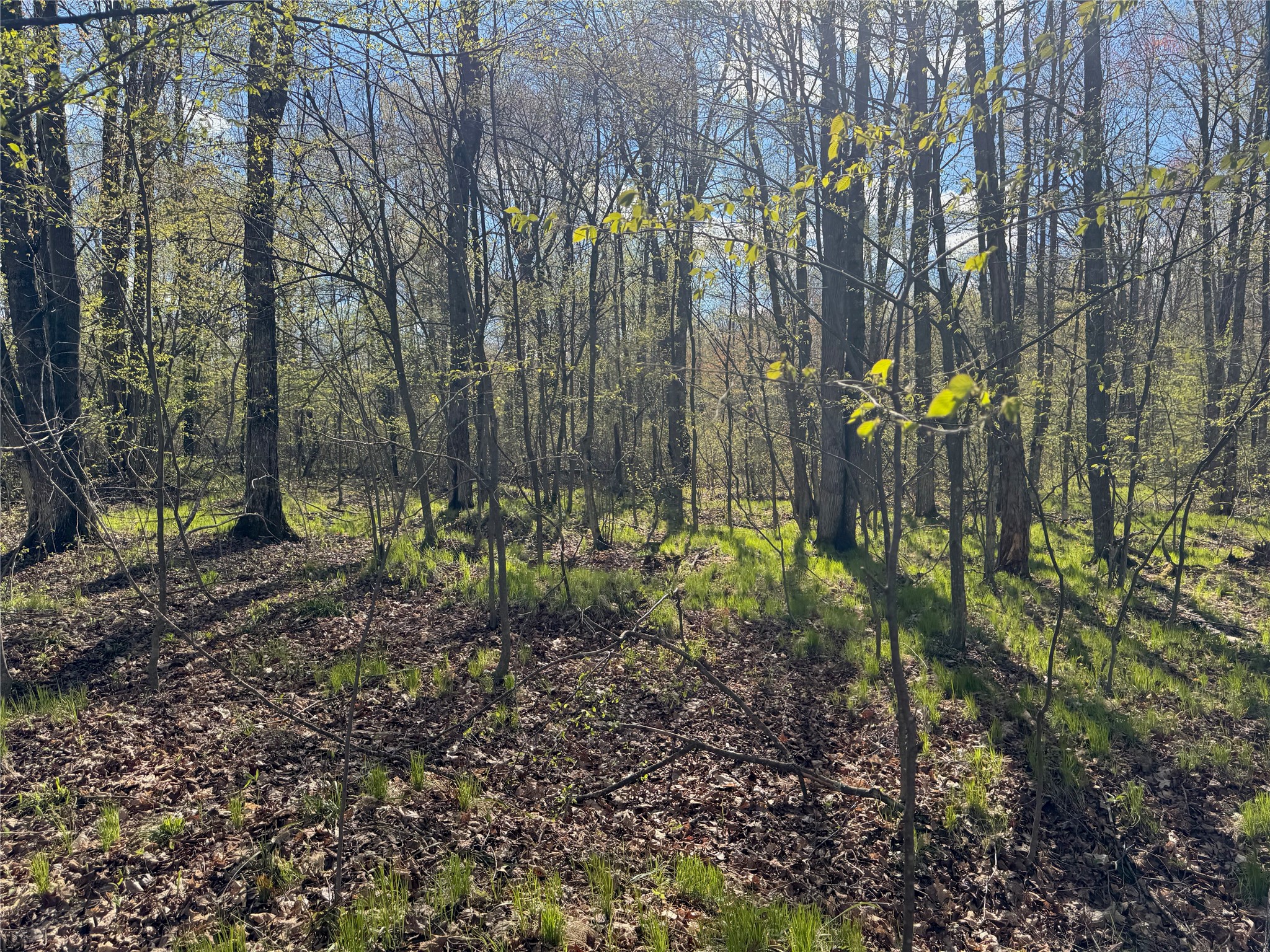 Lots 1-2 Trapper Trail Property Photo 25