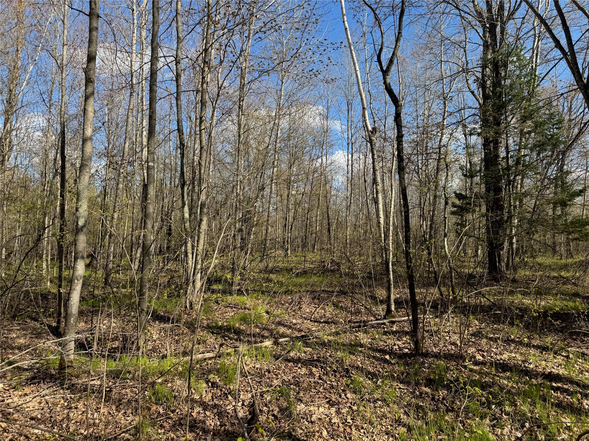 Lots 1-2 Trapper Trail Property Photo 26
