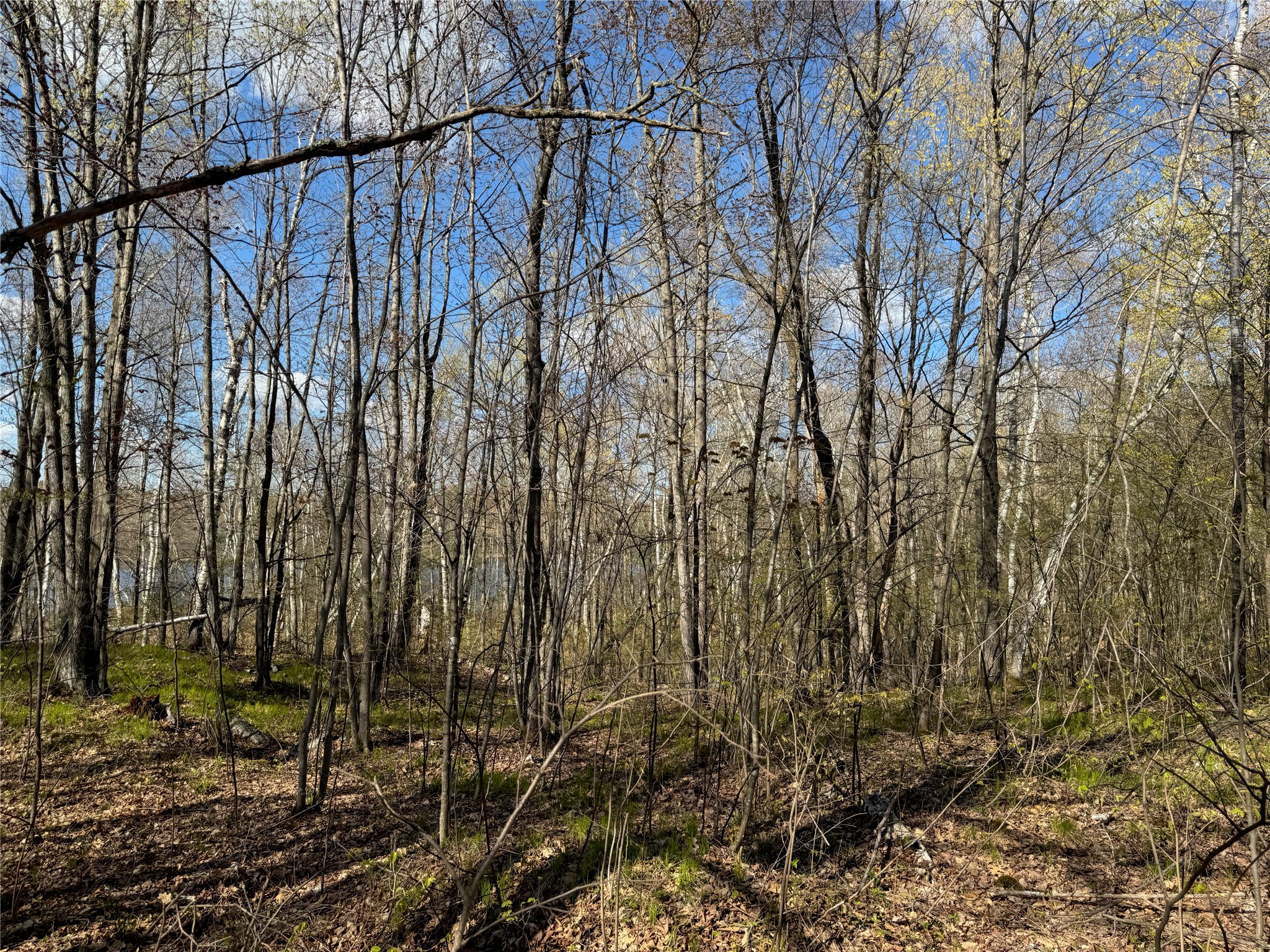 Lots 1-2 Trapper Trail Property Photo 27