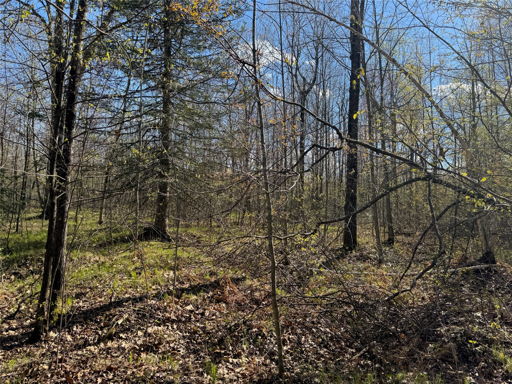 Lots 1-2 Trapper Trail Property Photo 28