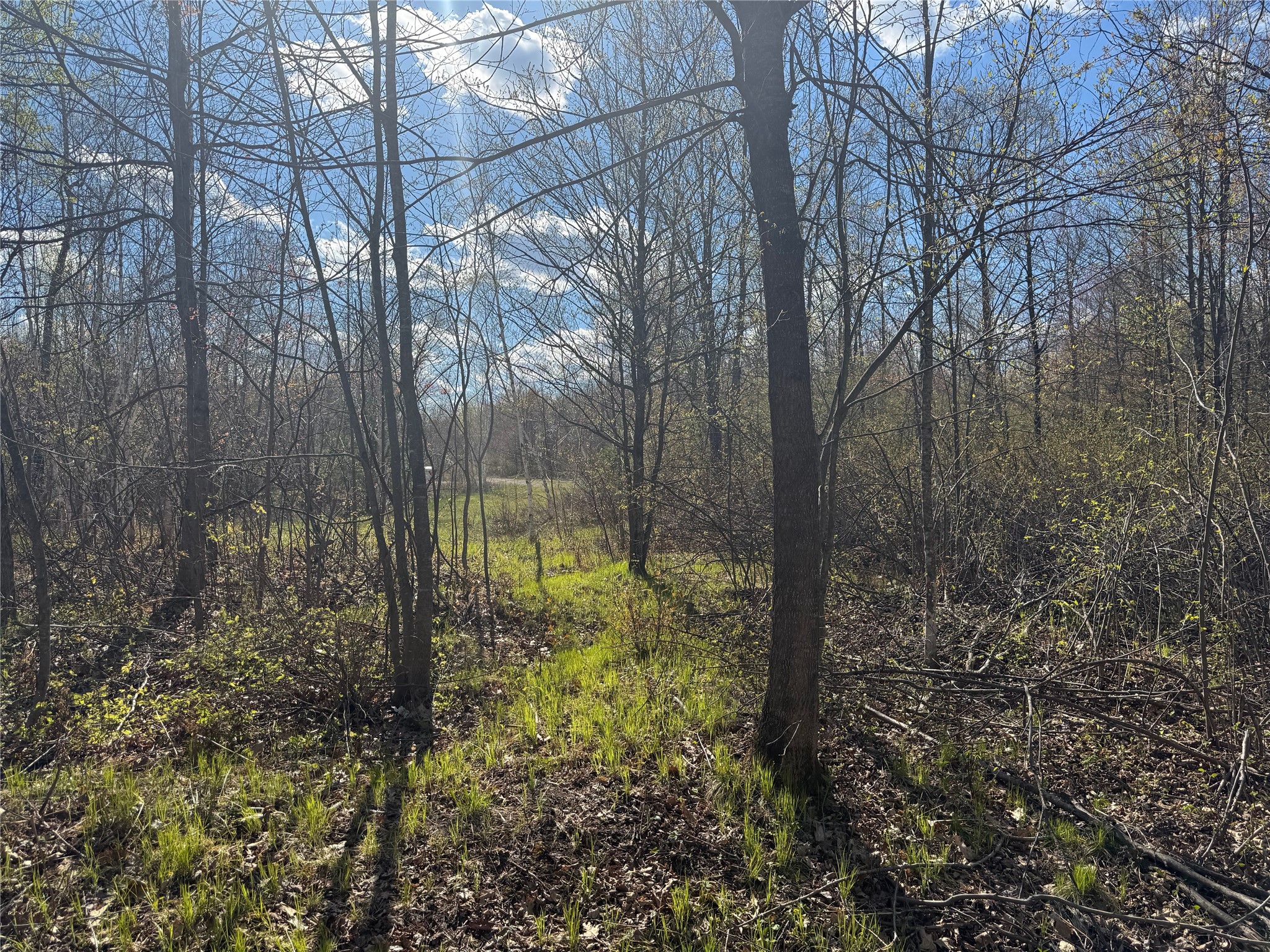 Lots 1-2 Trapper Trail Property Photo 29