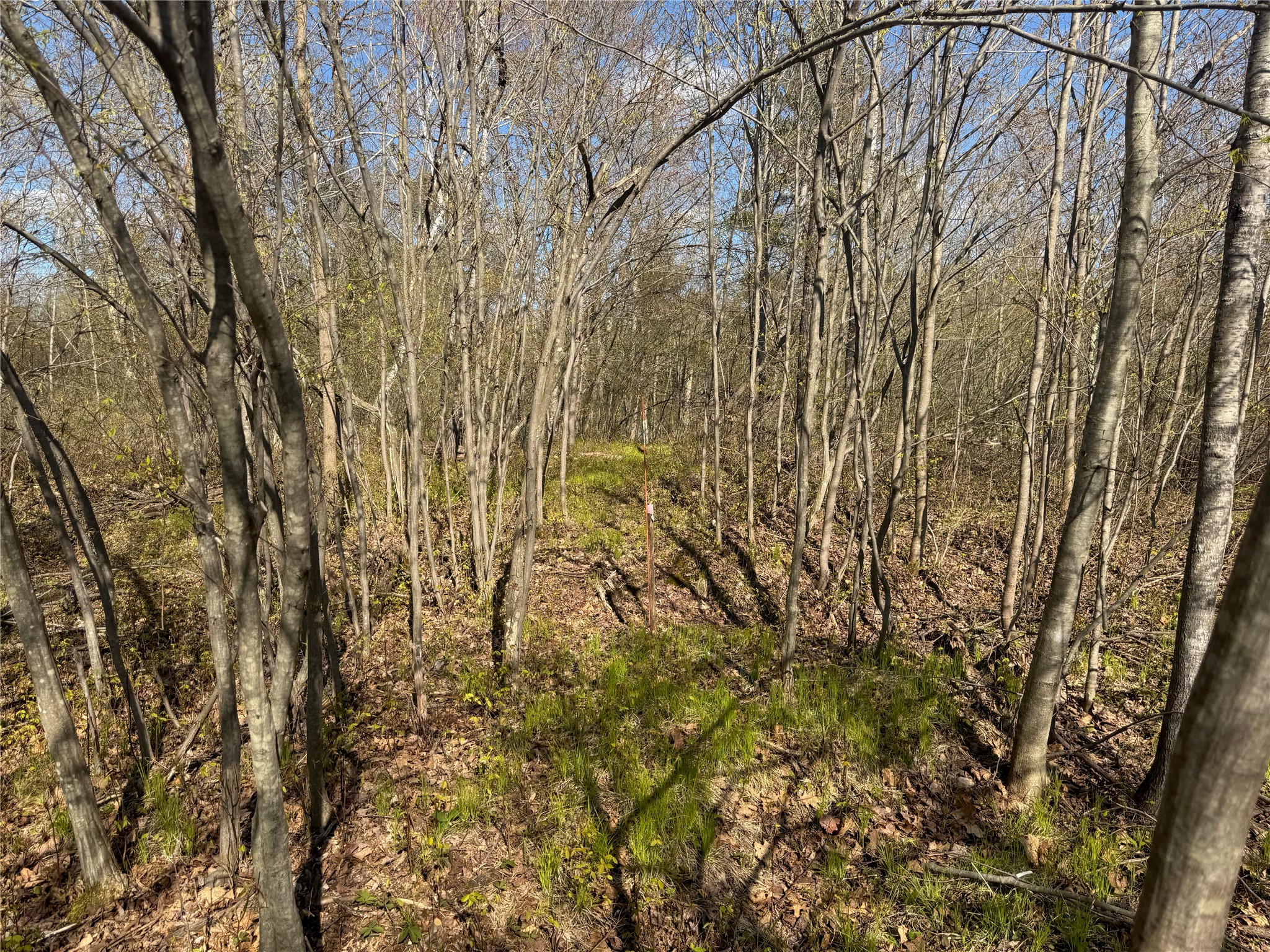 Lots 1-2 Trapper Trail Property Photo 30