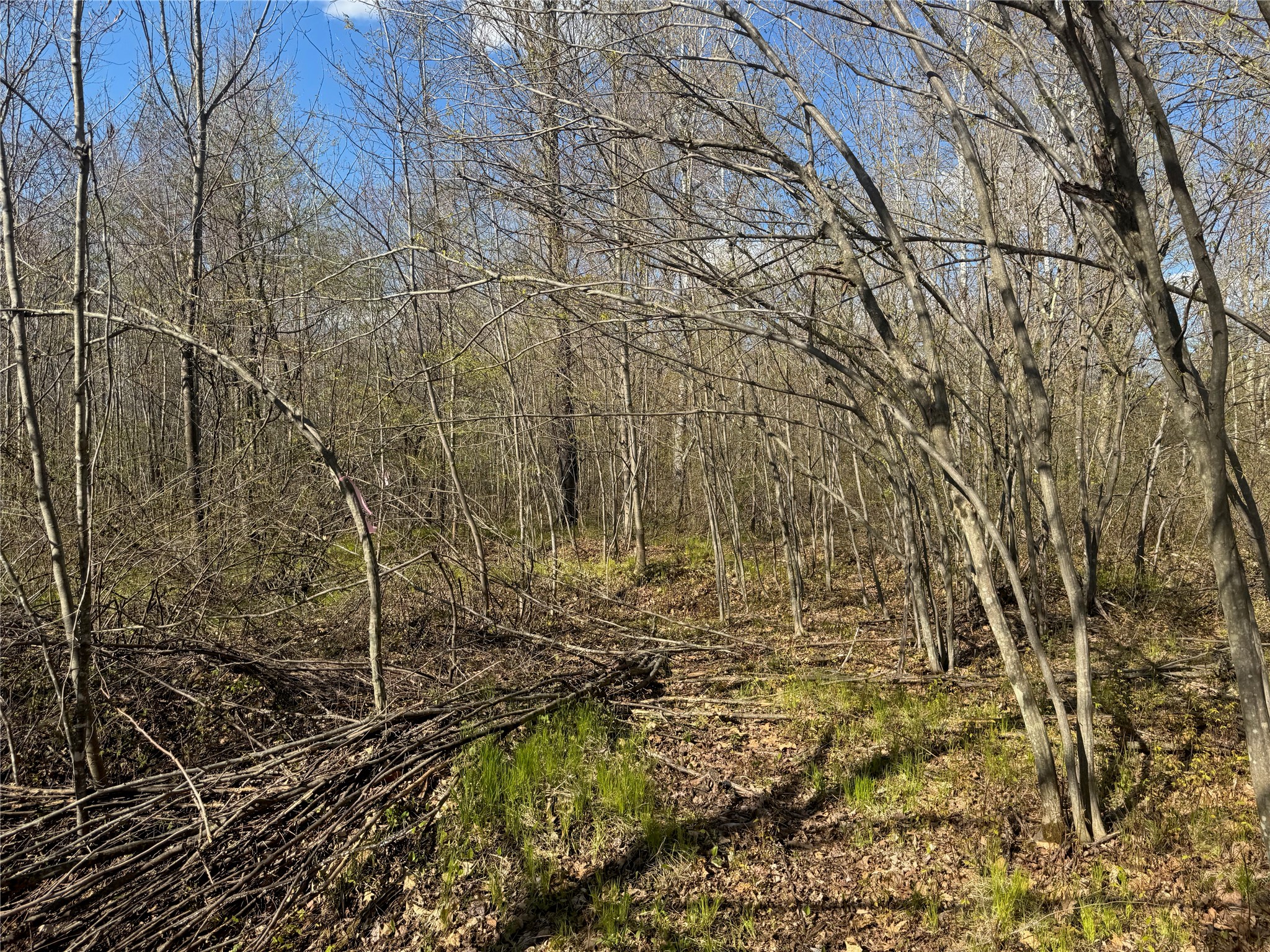 Lots 1-2 Trapper Trail Property Photo 31