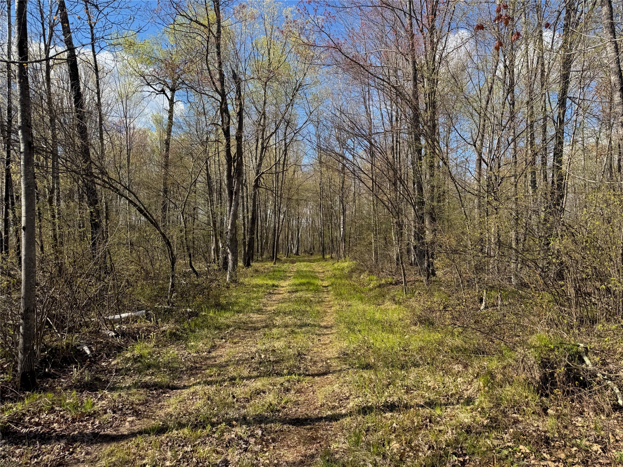 Lot 7 Trapper Trail Property Photo 16