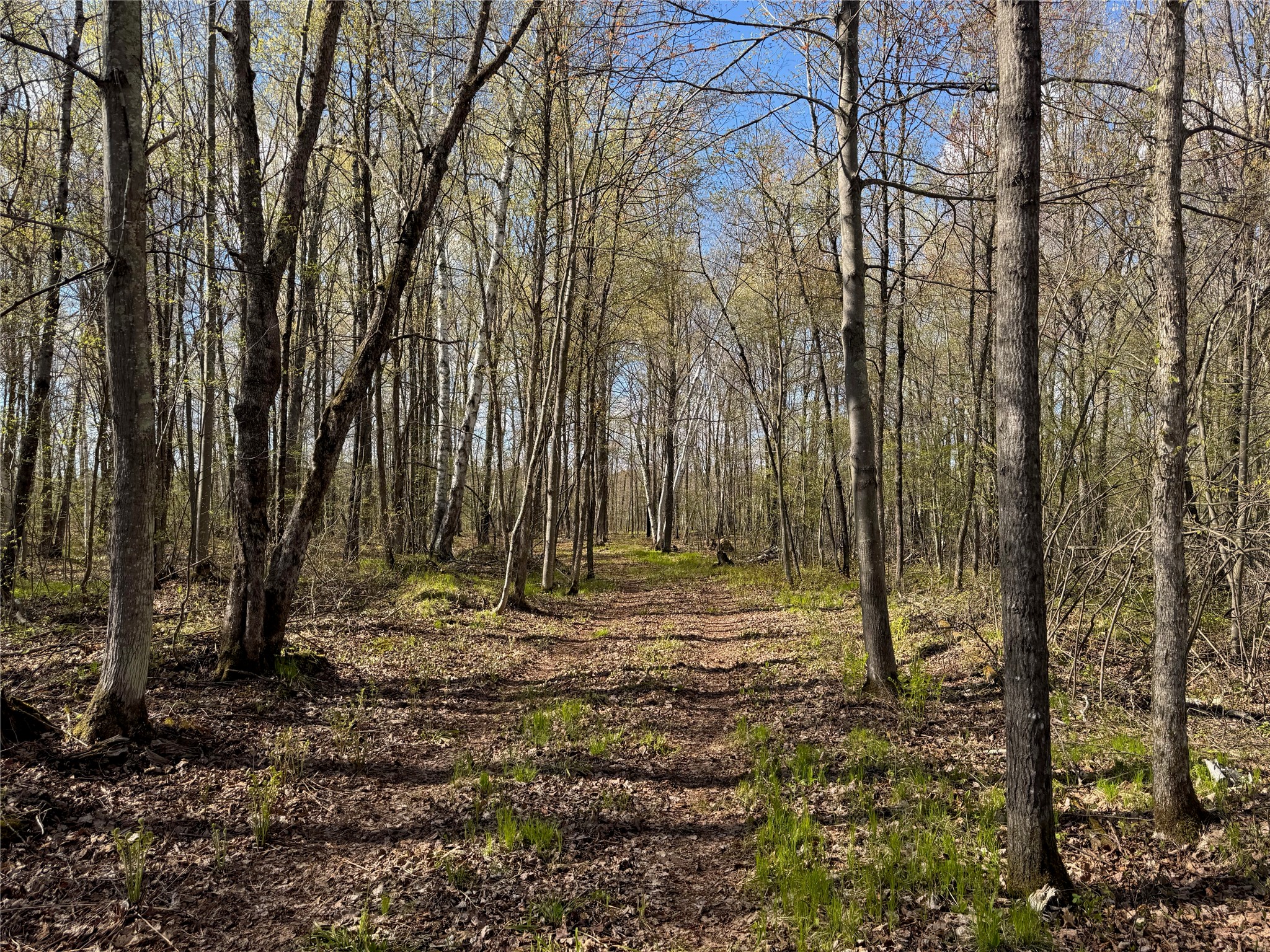 Lot 7 Trapper Trail Property Photo 17