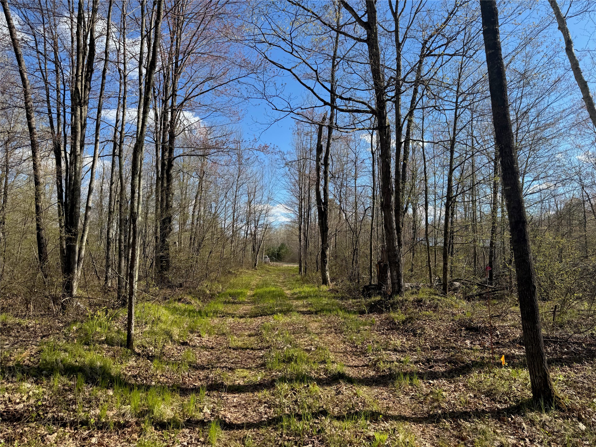 Lot 7 Trapper Trail Property Photo 18