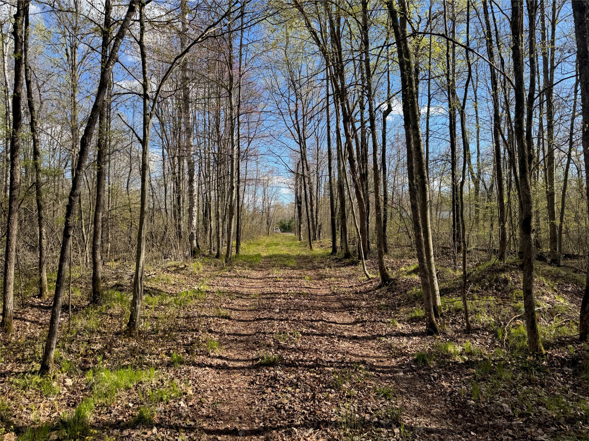 Lot 7 Trapper Trail Property Photo 20