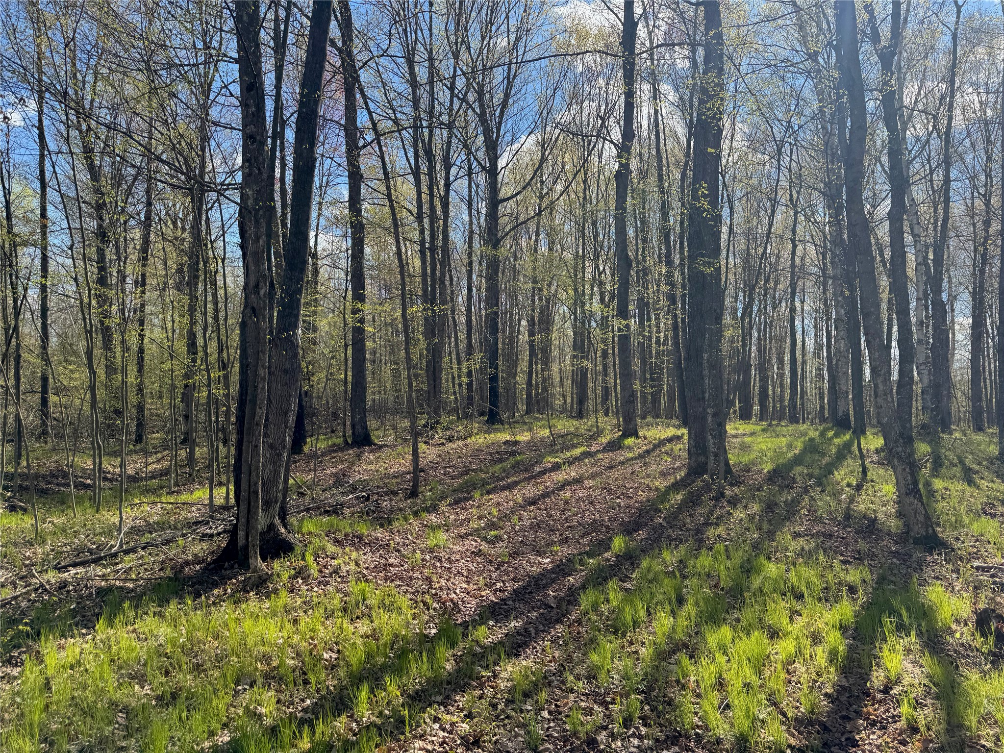 Lot 7 Trapper Trail Property Photo 22