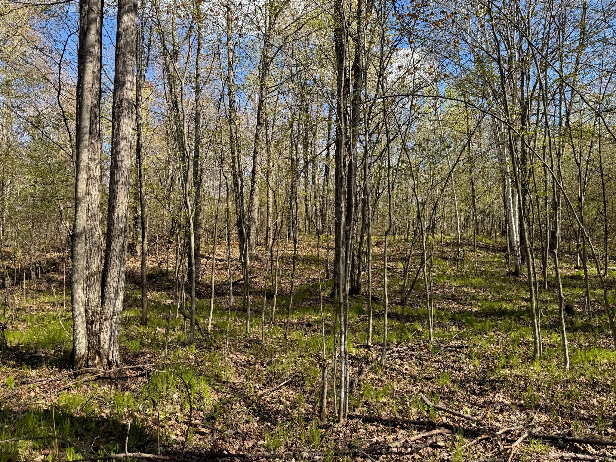 Lot 7 Trapper Trail Property Photo 23