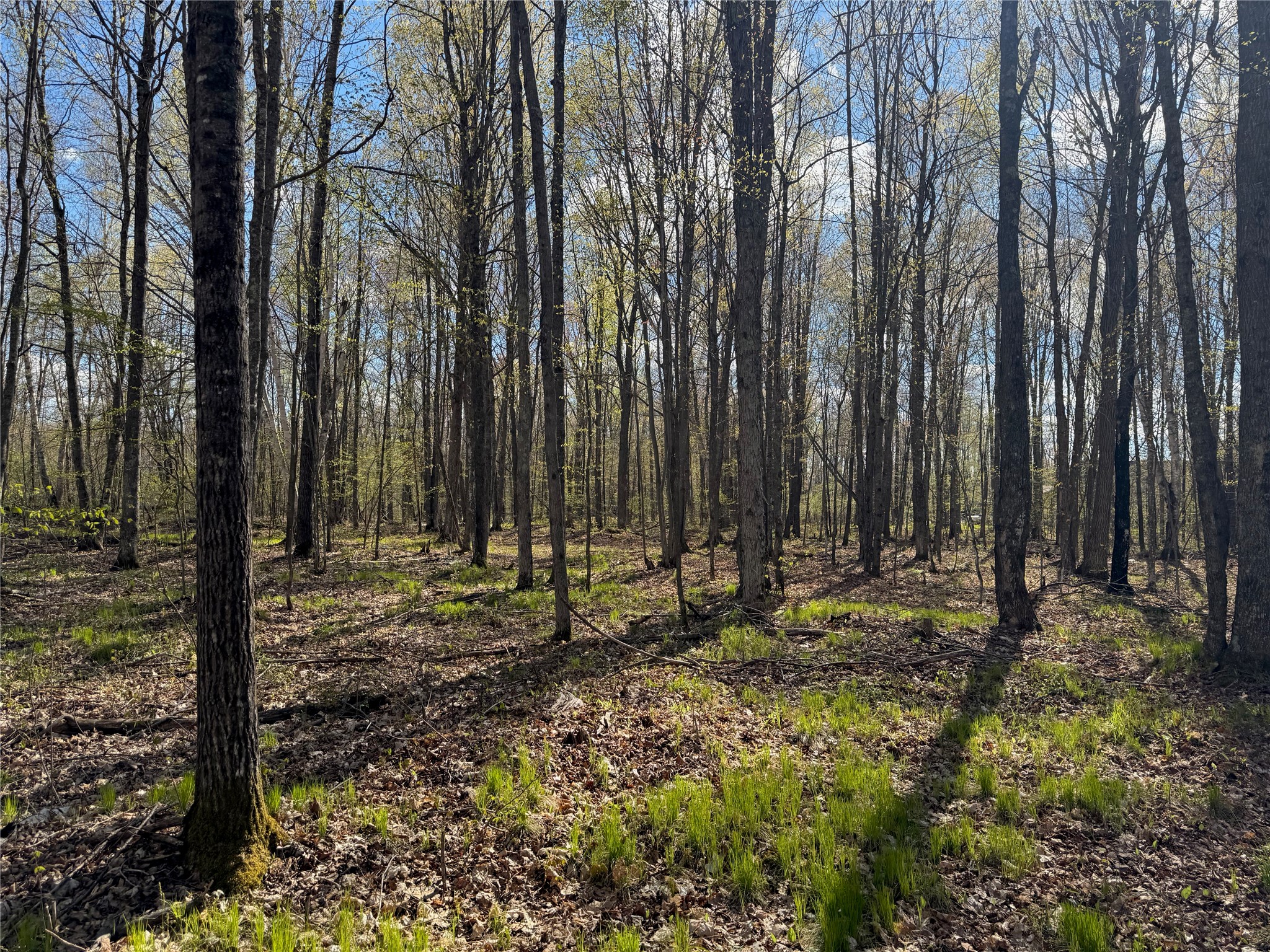 Lot 7 Trapper Trail Property Photo 25