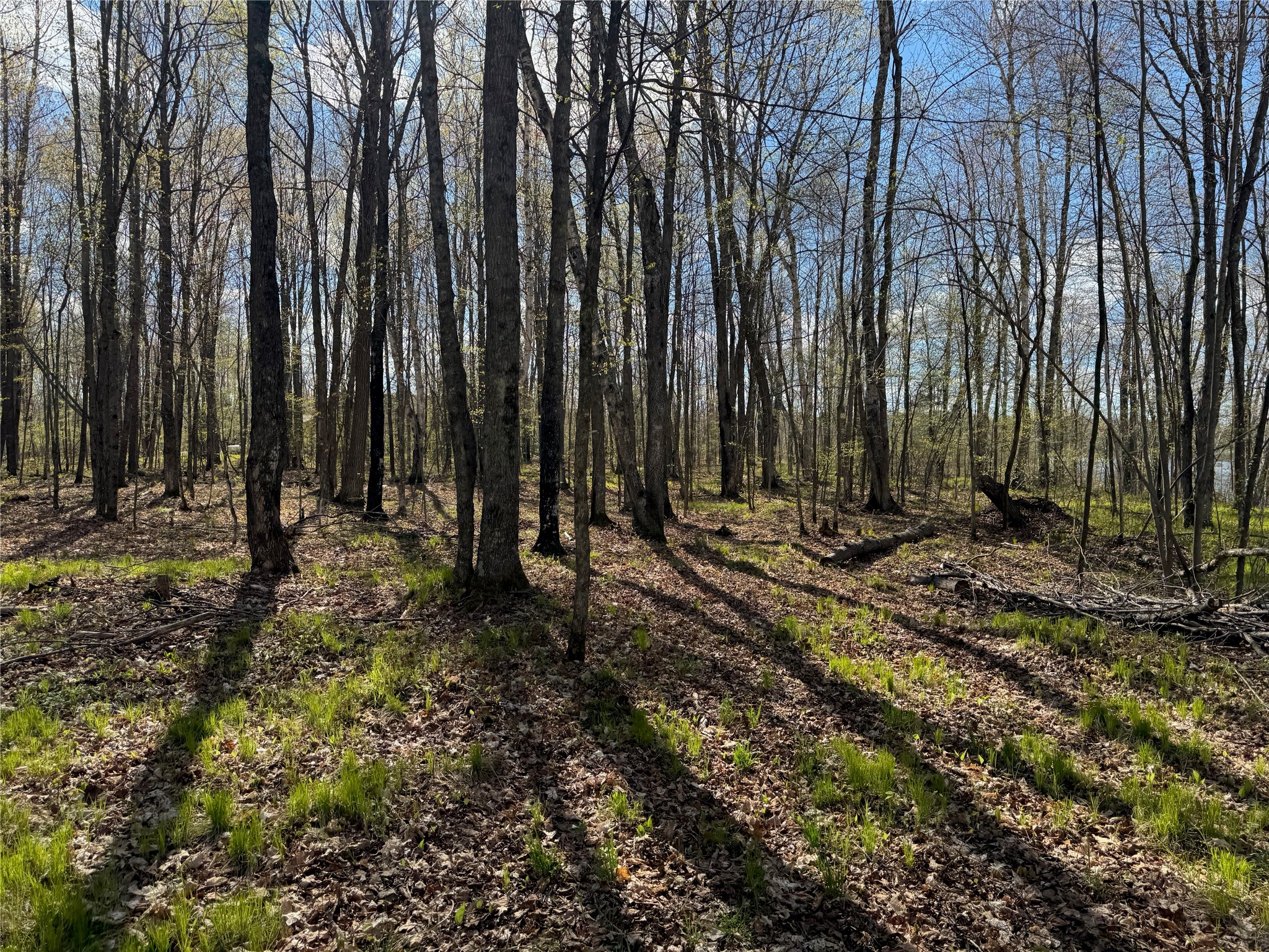 Lot 7 Trapper Trail Property Photo 26
