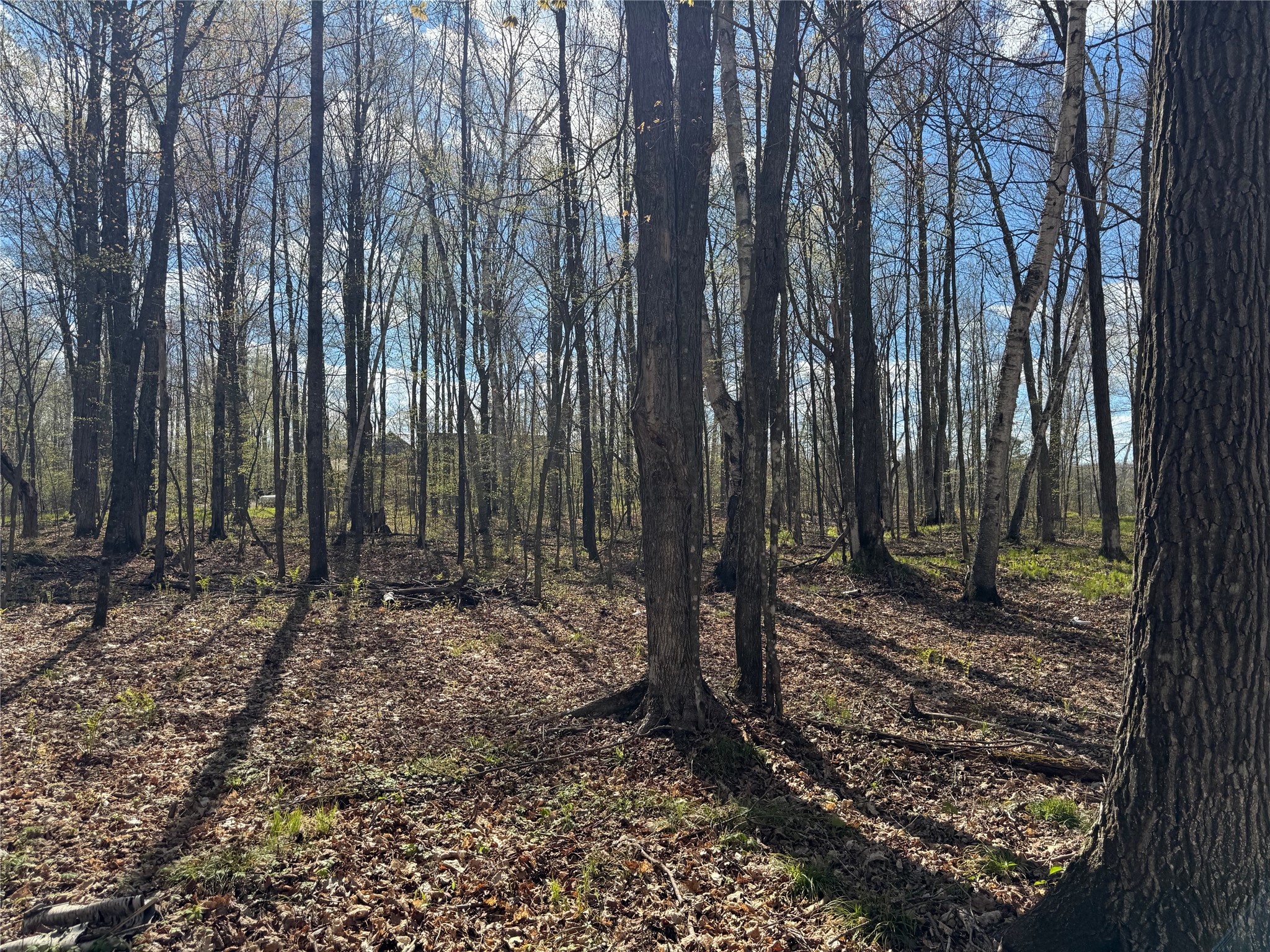 Lot 7 Trapper Trail Property Photo 27