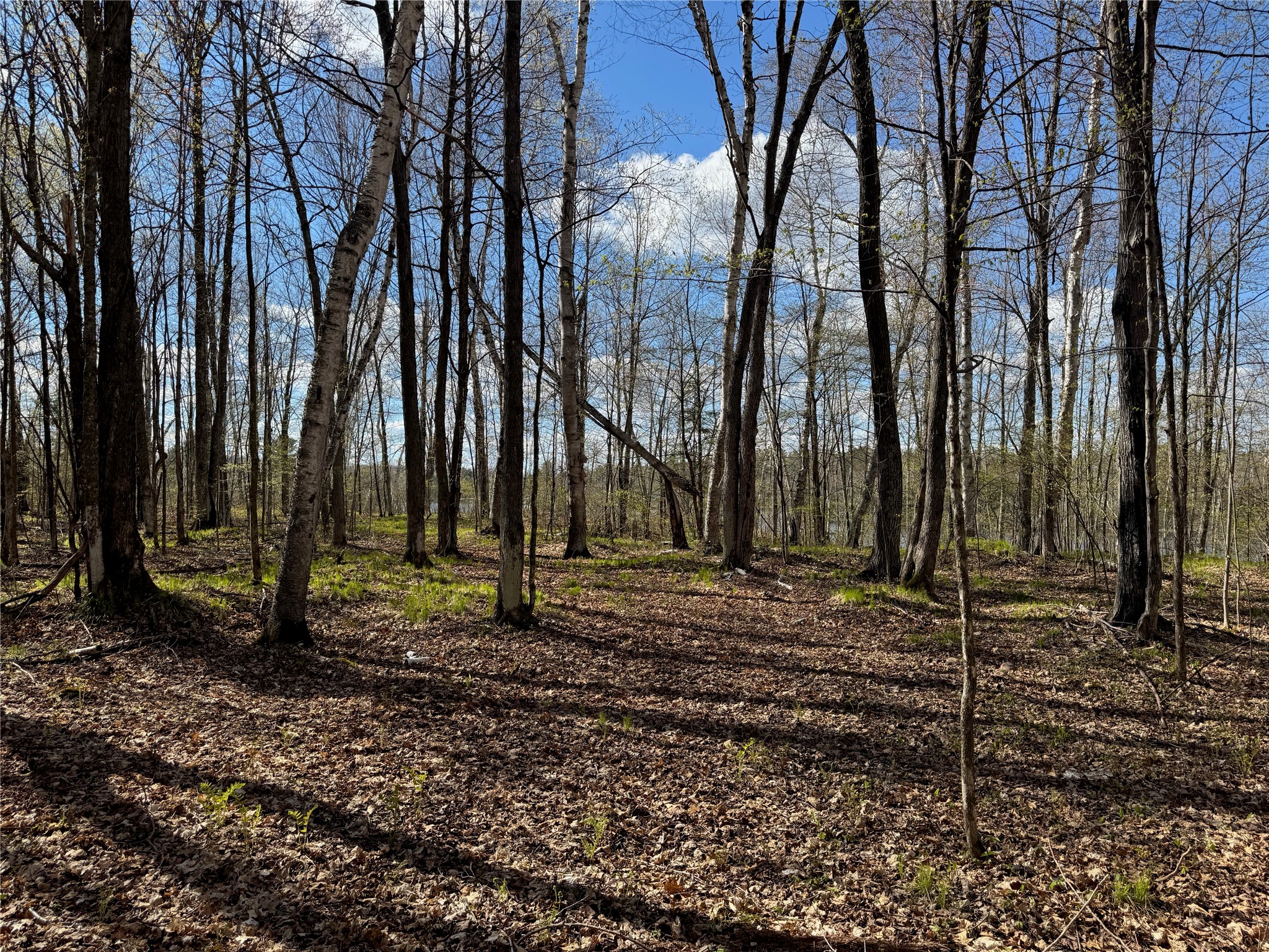 Lot 7 Trapper Trail Property Photo 28